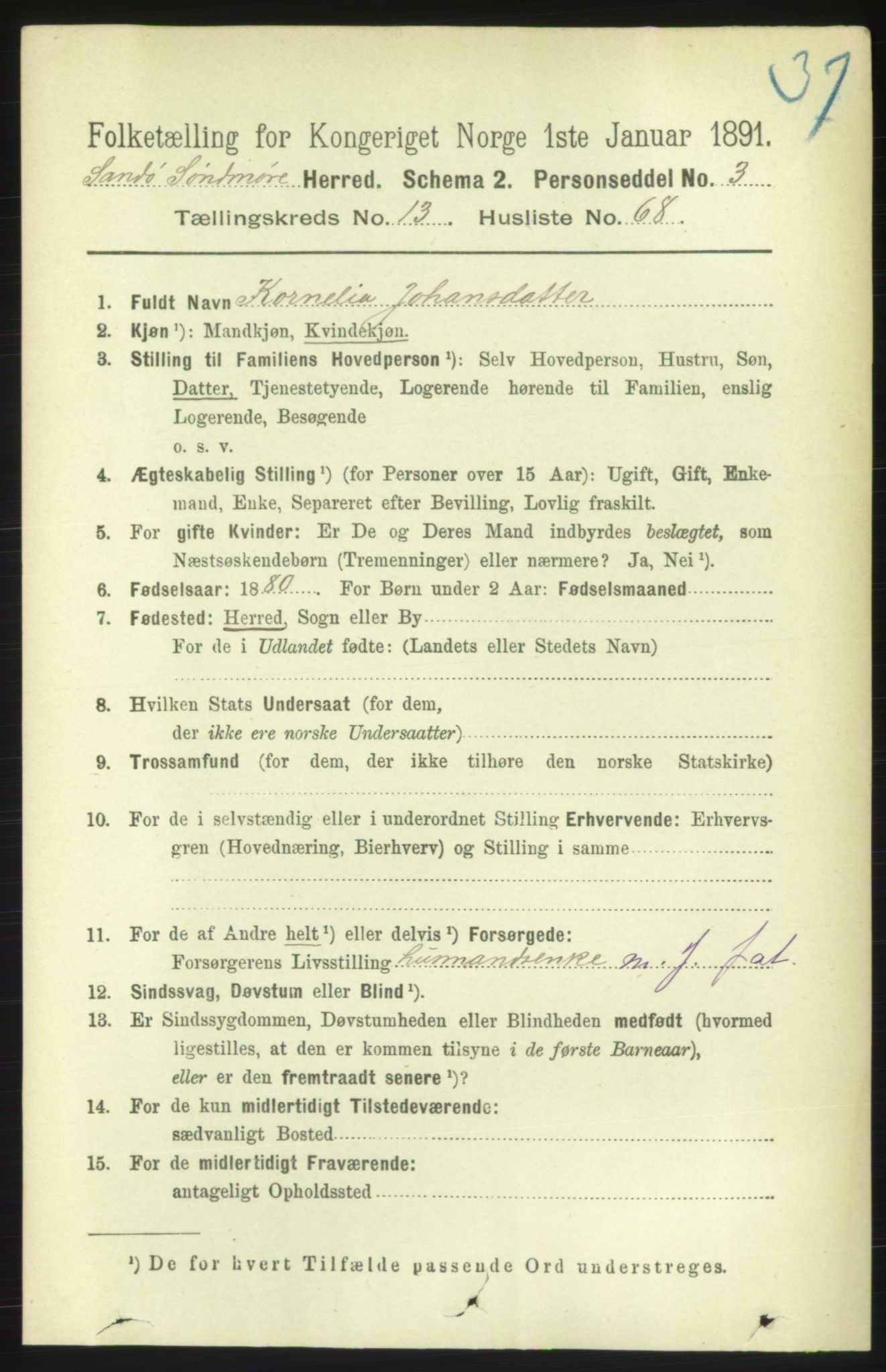 RA, 1891 census for 1514 Sande, 1891, p. 2817