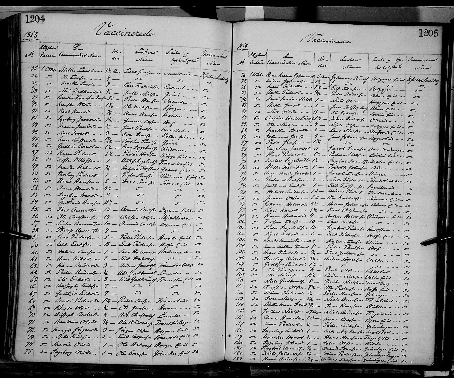 Gran prestekontor, SAH/PREST-112/H/Ha/Haa/L0012: Parish register (official) no. 12, 1856-1874, p. 1204-1205