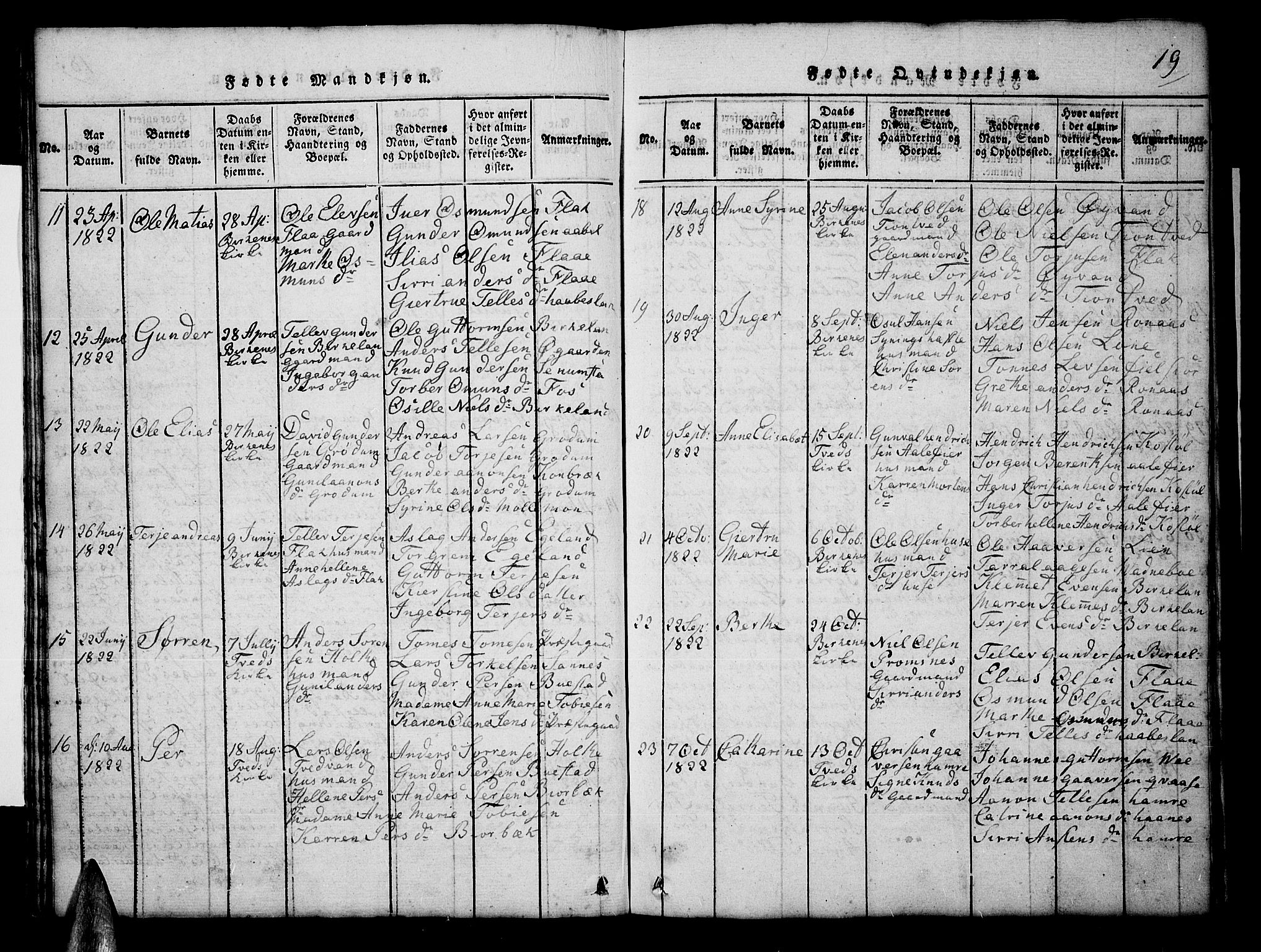 Tveit sokneprestkontor, AV/SAK-1111-0043/F/Fb/L0001: Parish register (copy) no. B 1, 1820-1834, p. 19