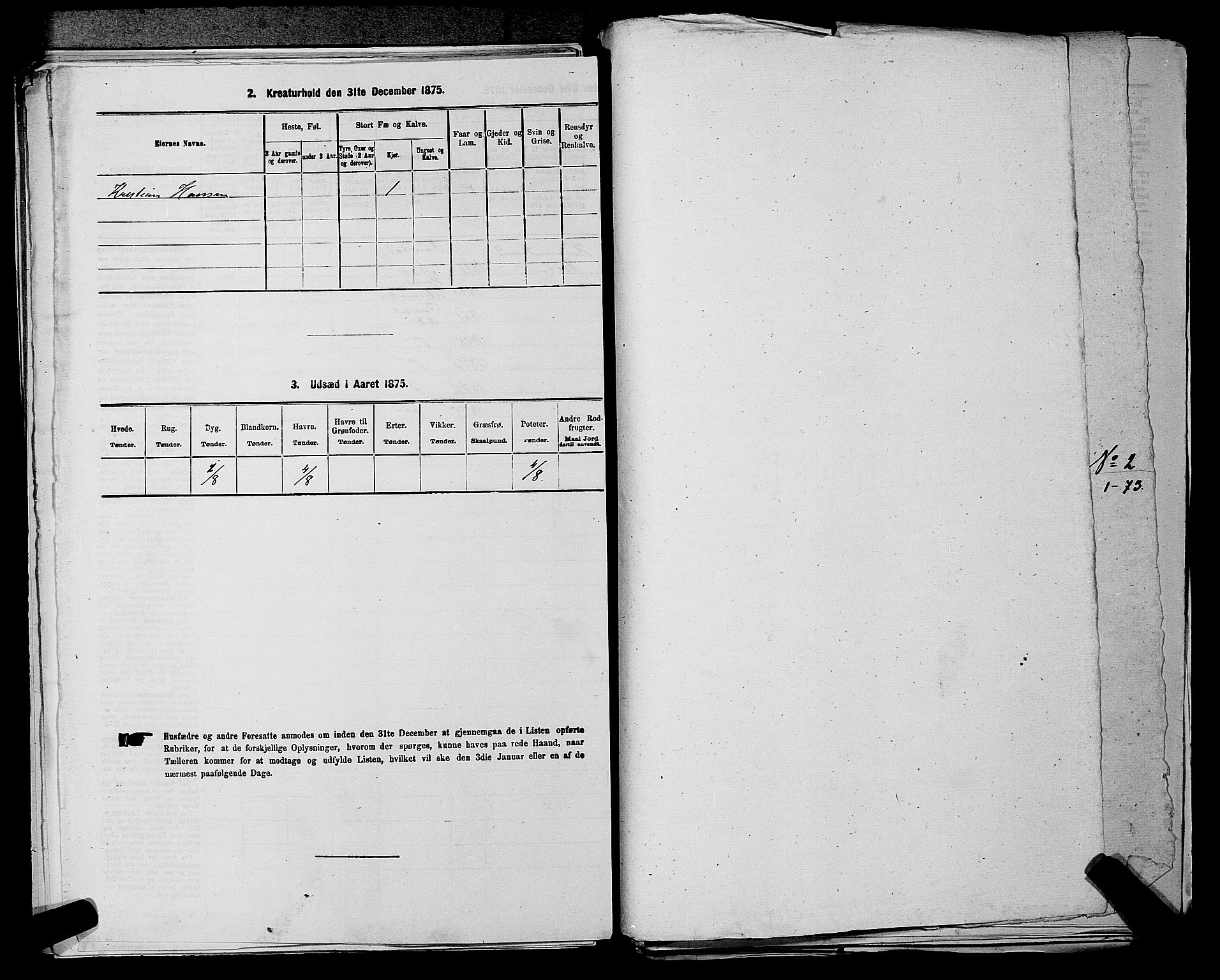 RA, 1875 census for 0236P Nes, 1875, p. 175