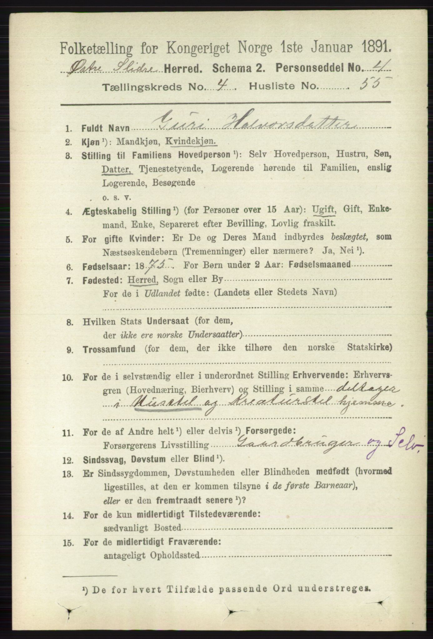 RA, 1891 census for 0544 Øystre Slidre, 1891, p. 1516