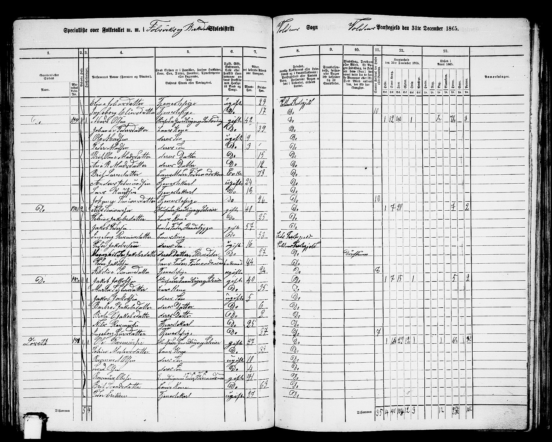 RA, 1865 census for Volda, 1865, p. 114