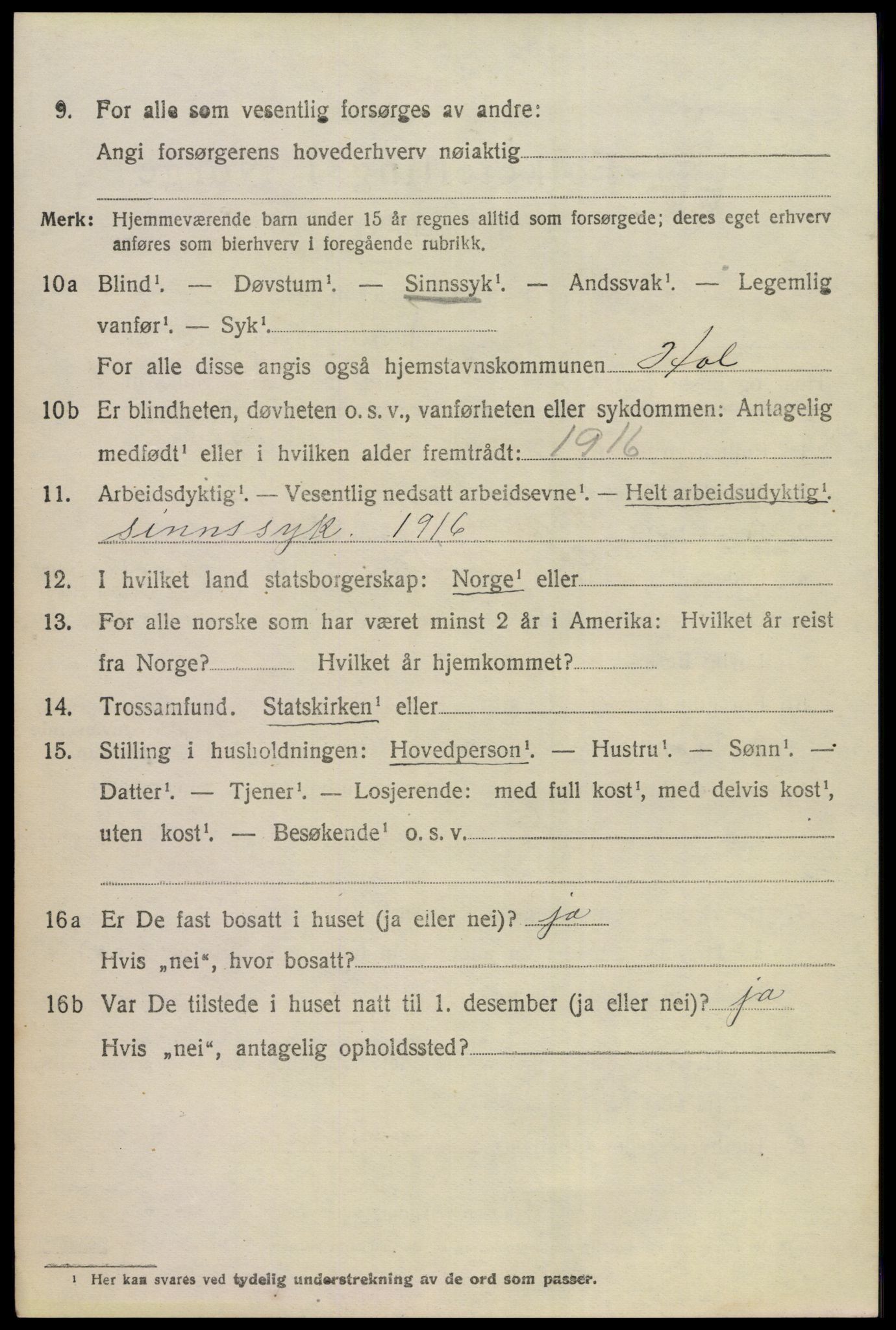 SAKO, 1920 census for Hol (Buskerud), 1920, p. 4942