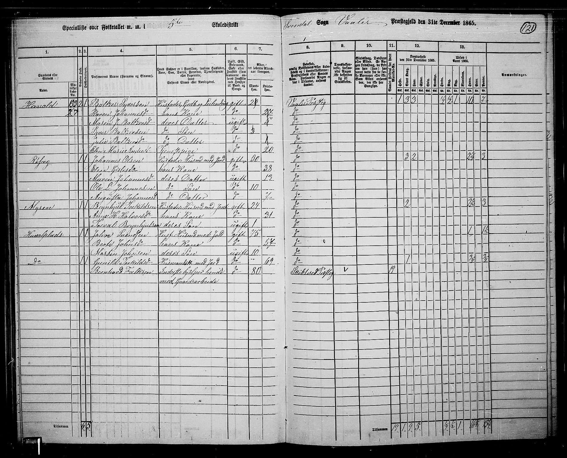 RA, 1865 census for Våler, 1865, p. 107