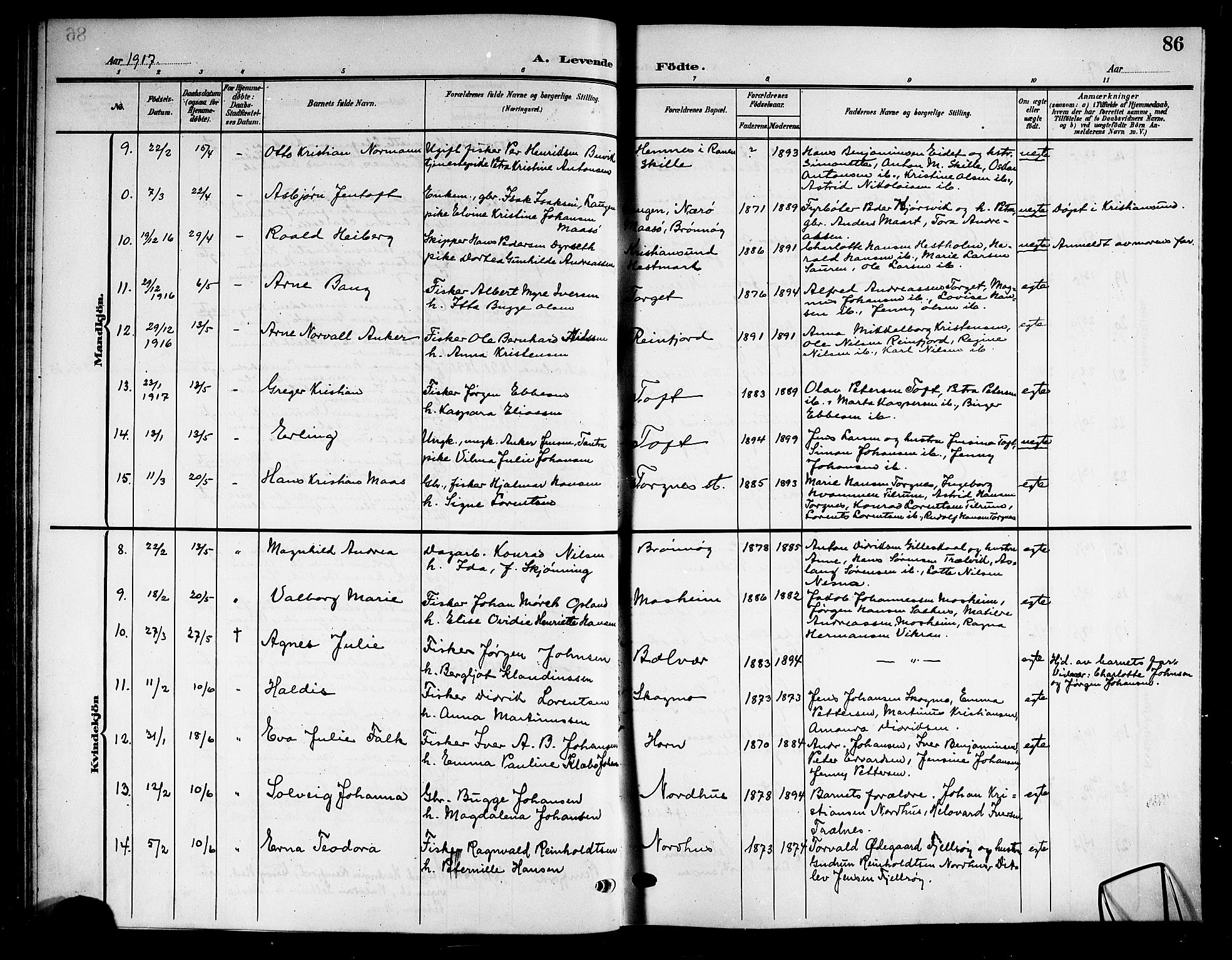 Ministerialprotokoller, klokkerbøker og fødselsregistre - Nordland, AV/SAT-A-1459/813/L0214: Parish register (copy) no. 813C06, 1904-1917, p. 86