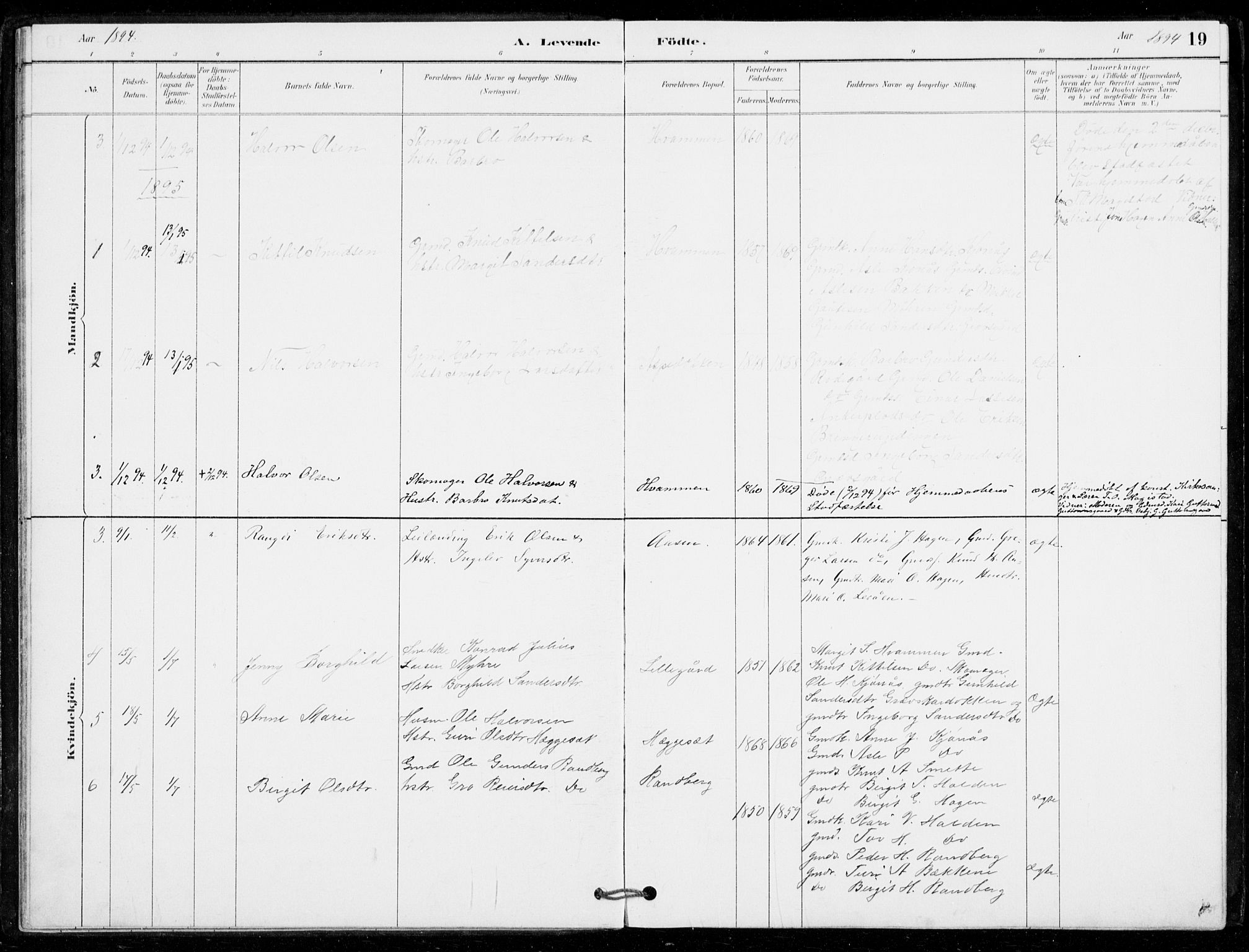 Nore kirkebøker, AV/SAKO-A-238/G/Gc/L0003: Parish register (copy) no. III 3, 1881-1941, p. 19