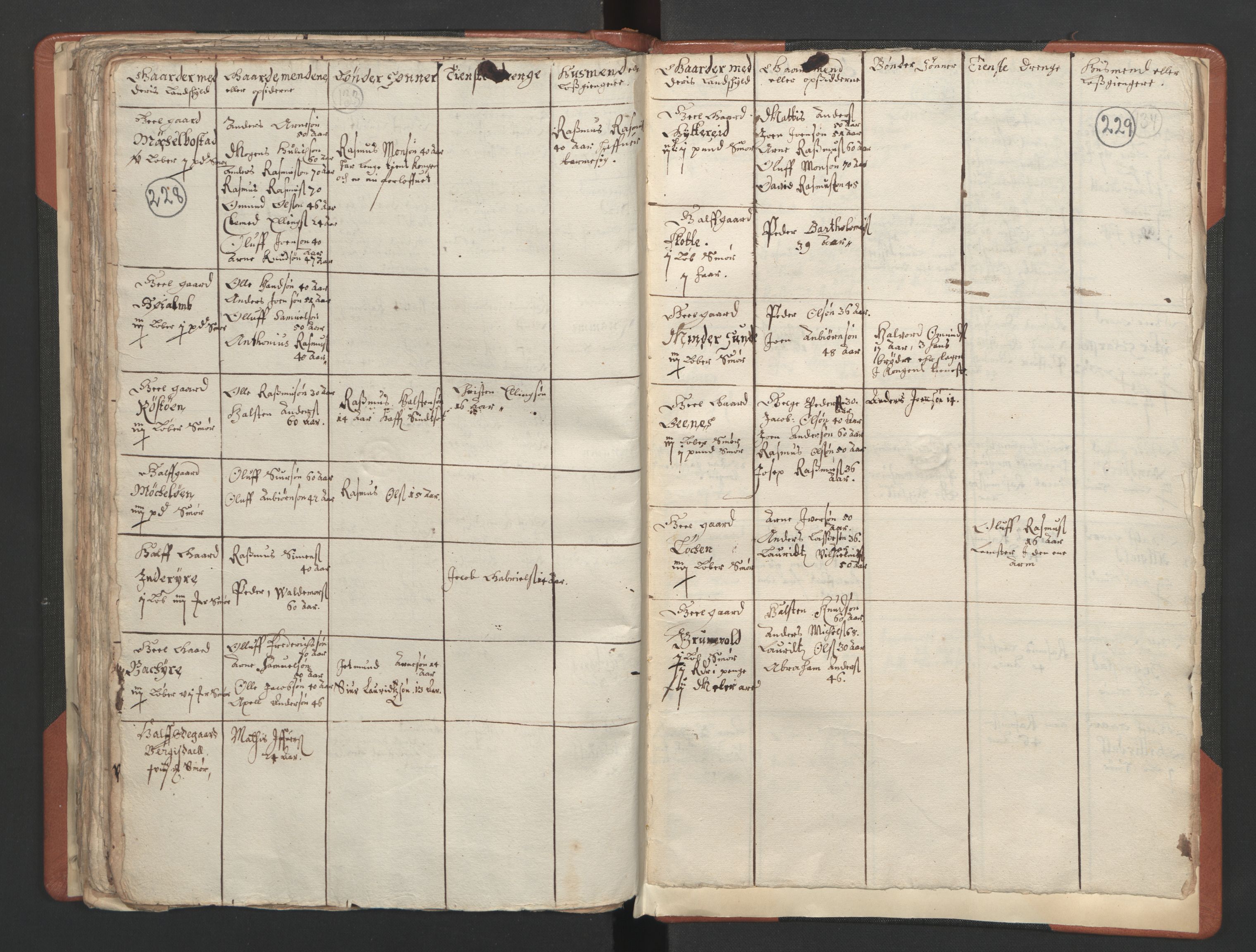 RA, Vicar's Census 1664-1666, no. 25: Nordfjord deanery, 1664-1666, p. 228-229