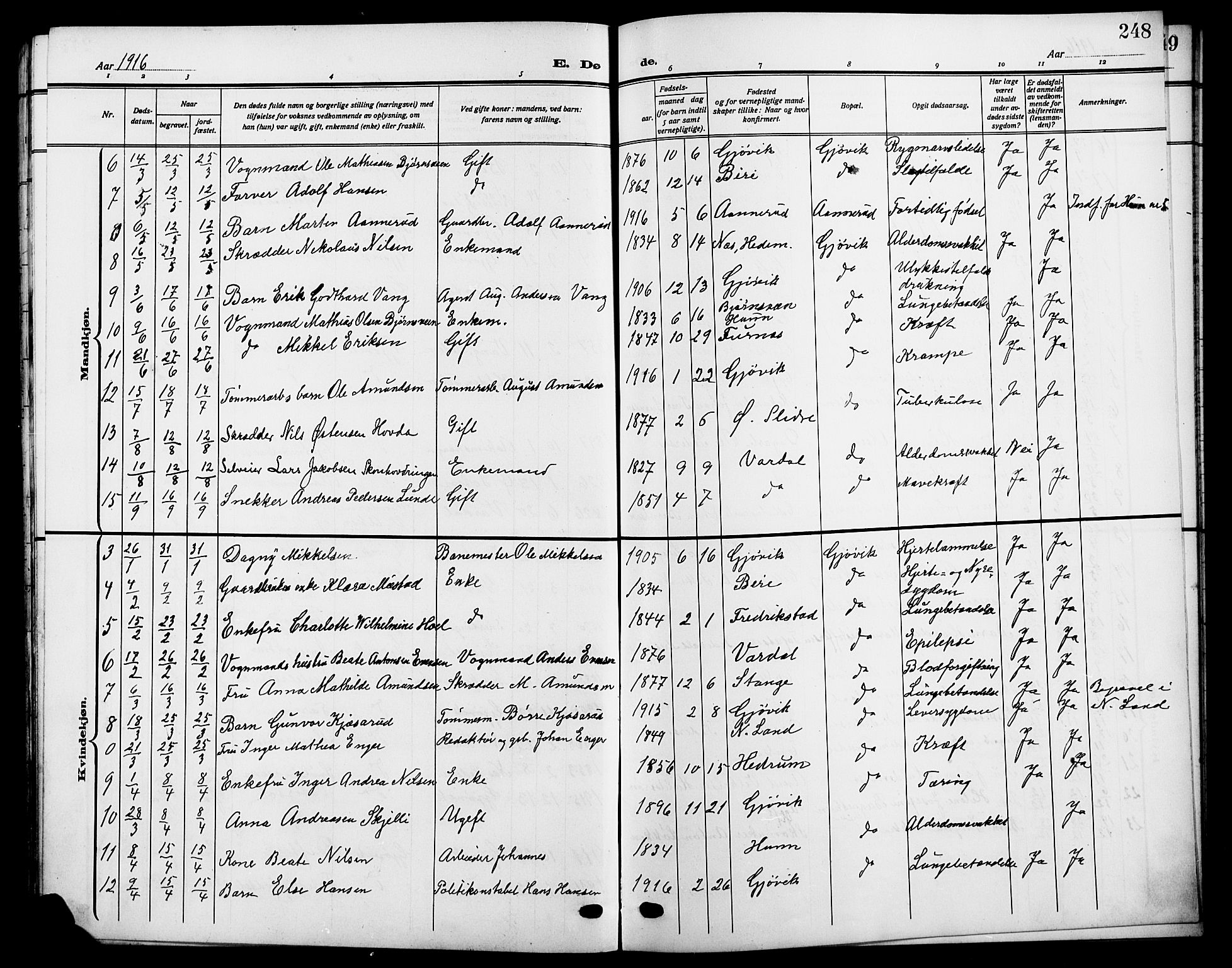 Vardal prestekontor, AV/SAH-PREST-100/H/Ha/Hab/L0014: Parish register (copy) no. 14, 1911-1922, p. 248