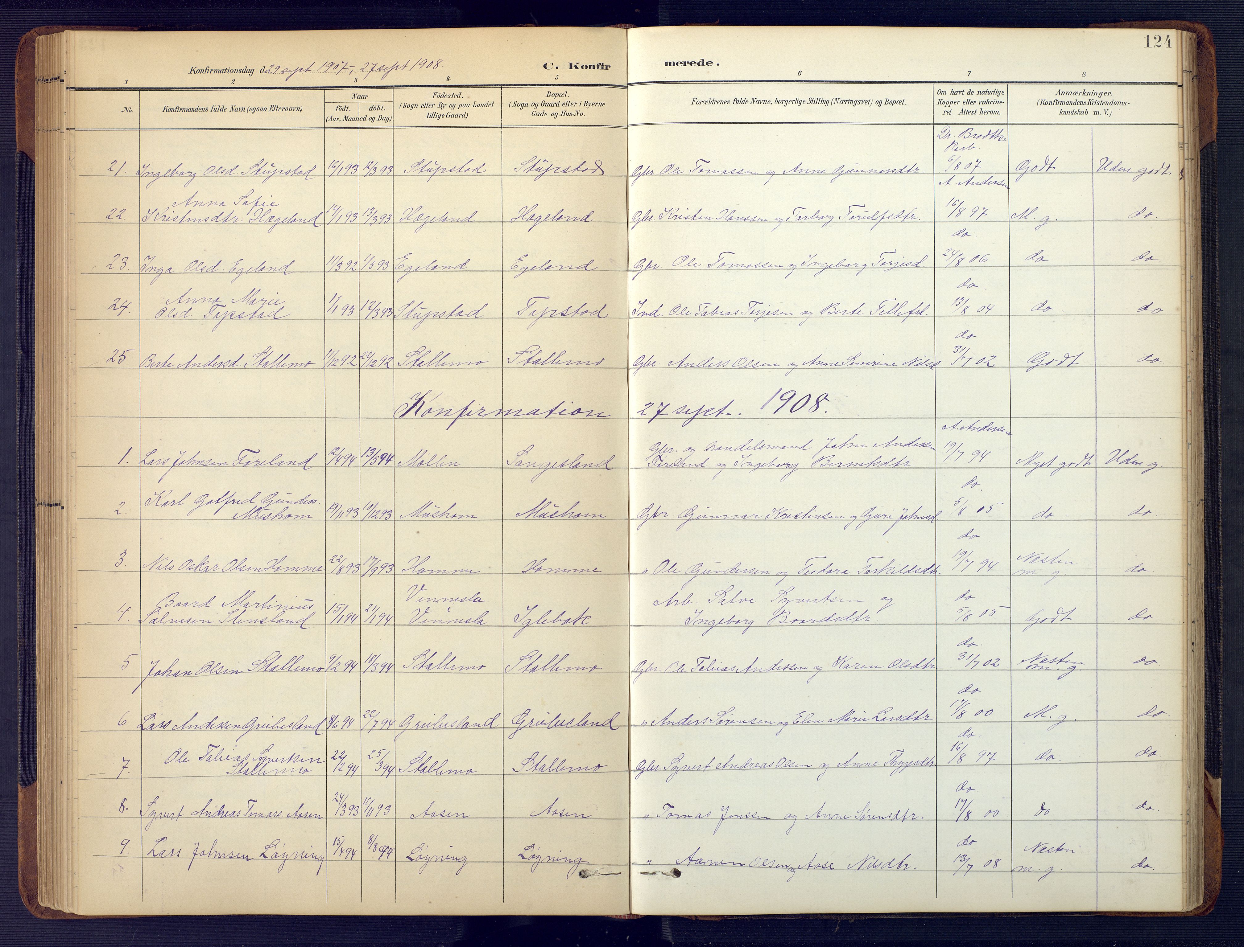 Vennesla sokneprestkontor, AV/SAK-1111-0045/Fb/Fbc/L0003: Parish register (copy) no. B 3, 1895-1946, p. 124