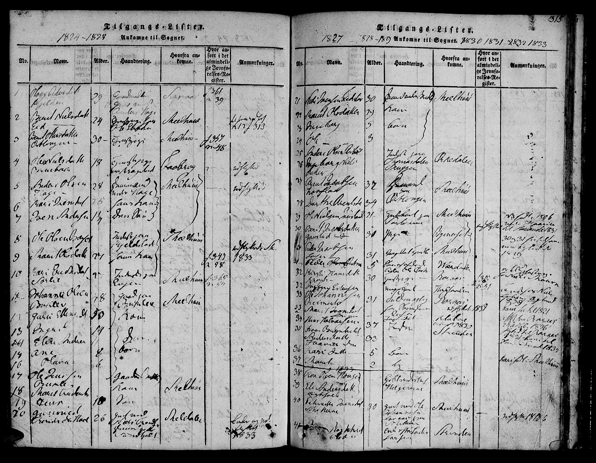 Ministerialprotokoller, klokkerbøker og fødselsregistre - Sør-Trøndelag, SAT/A-1456/692/L1102: Parish register (official) no. 692A02, 1816-1842, p. 315