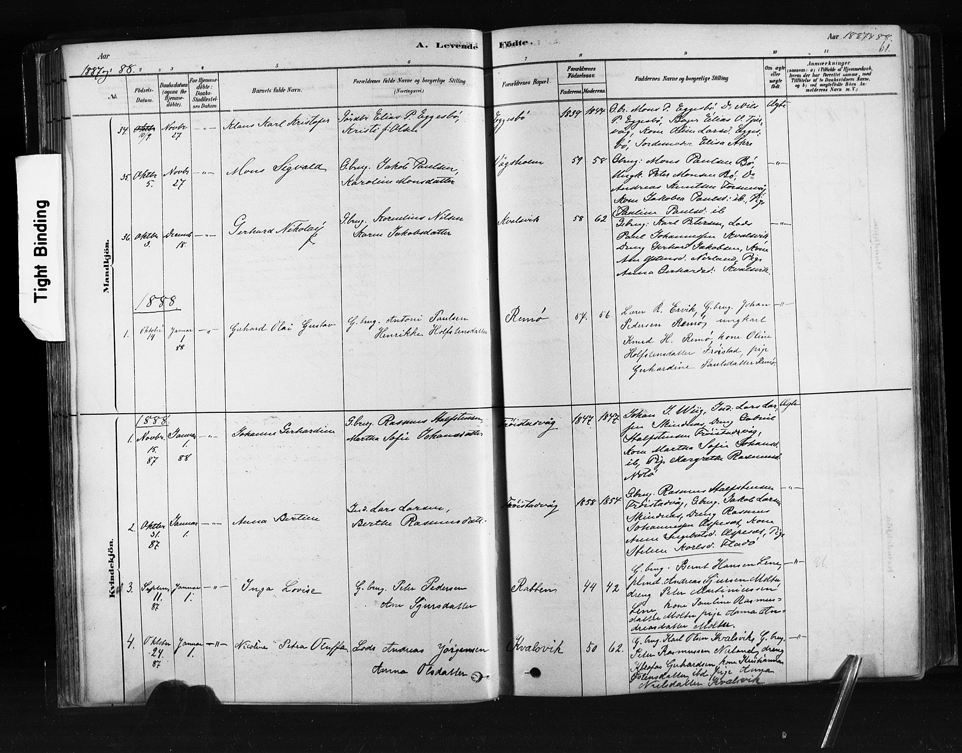 Ministerialprotokoller, klokkerbøker og fødselsregistre - Møre og Romsdal, SAT/A-1454/507/L0073: Parish register (official) no. 507A08, 1878-1904, p. 61