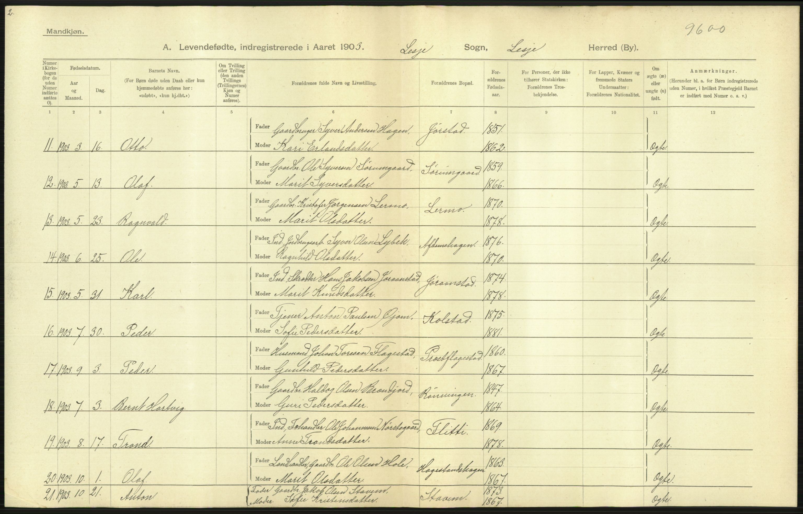 Statistisk sentralbyrå, Sosiodemografiske emner, Befolkning, AV/RA-S-2228/D/Df/Dfa/Dfaa/L0006: Kristians amt: Fødte, gifte, døde, 1903, p. 11