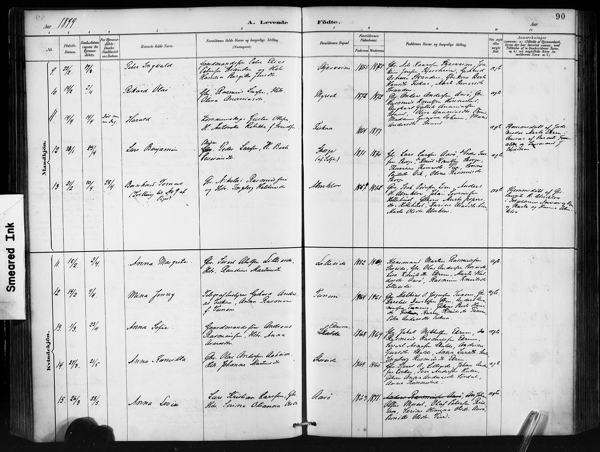 Ministerialprotokoller, klokkerbøker og fødselsregistre - Møre og Romsdal, AV/SAT-A-1454/501/L0008: Parish register (official) no. 501A08, 1885-1901, p. 90