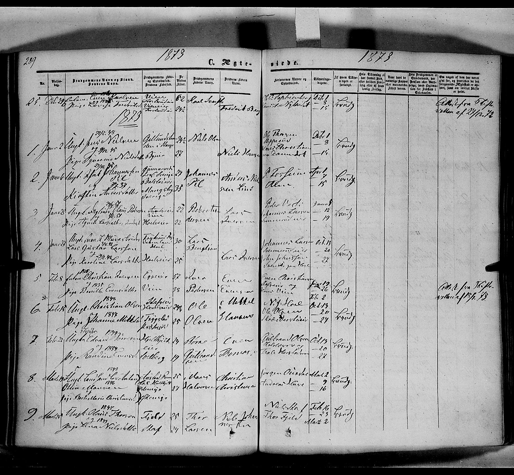 Nes prestekontor, Hedmark, AV/SAH-PREST-020/K/Ka/L0004: Parish register (official) no. 4, 1852-1886, p. 289