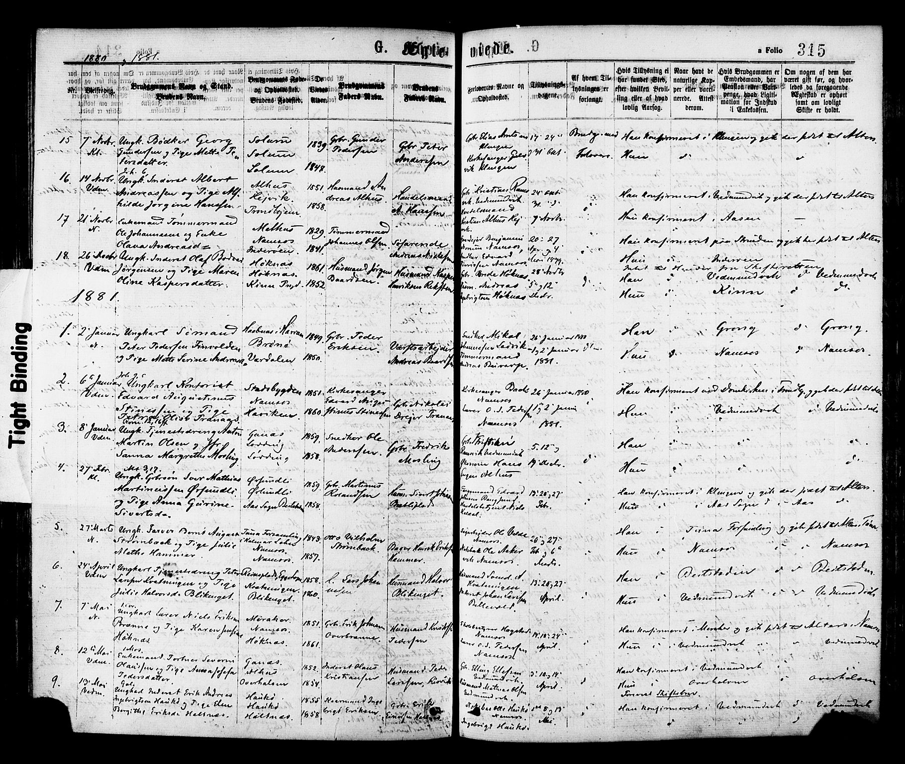 Ministerialprotokoller, klokkerbøker og fødselsregistre - Nord-Trøndelag, SAT/A-1458/768/L0572: Parish register (official) no. 768A07, 1874-1886, p. 315