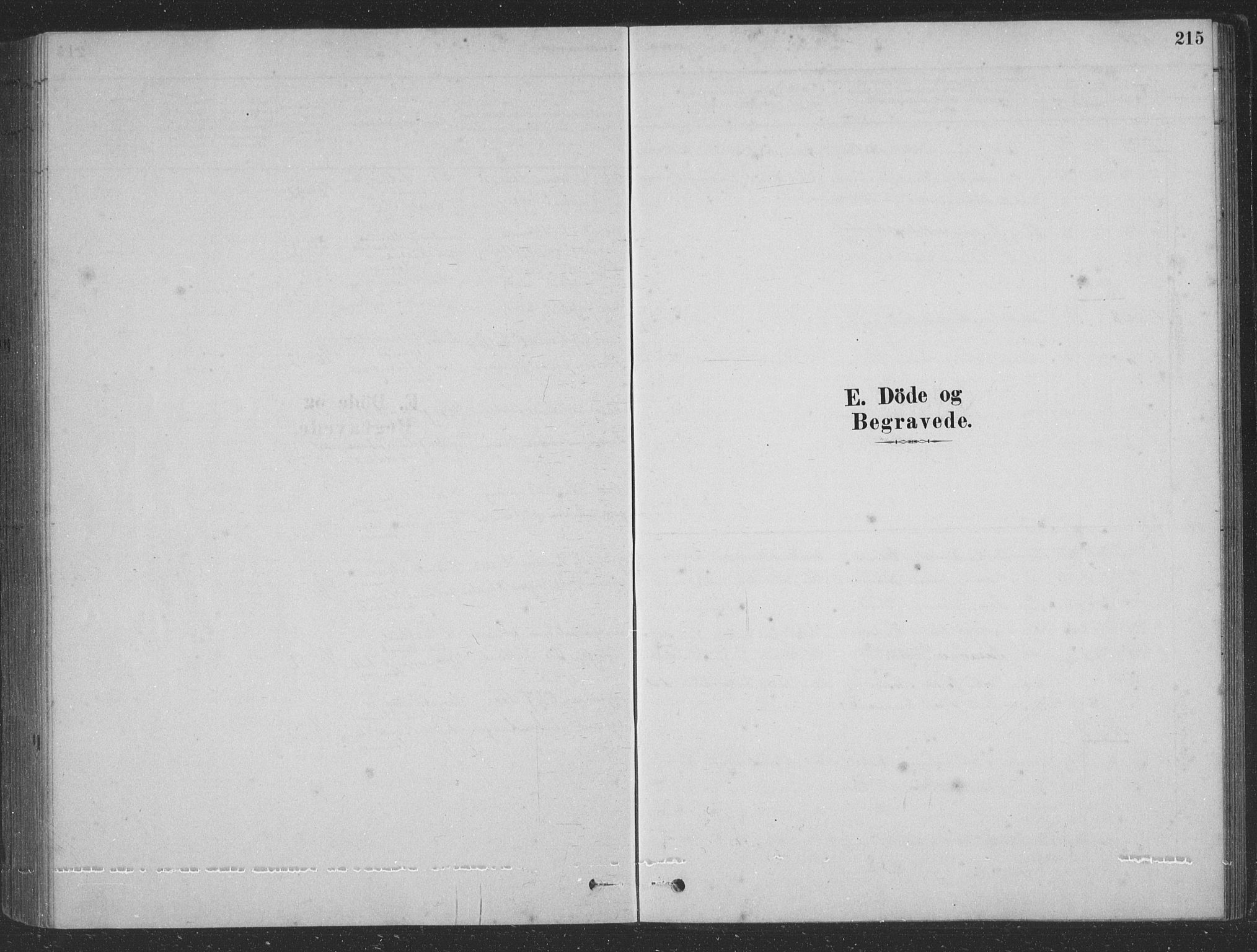Vaksdal Sokneprestembete, SAB/A-78901/H/Hab: Parish register (copy) no. D 1, 1878-1939, p. 215