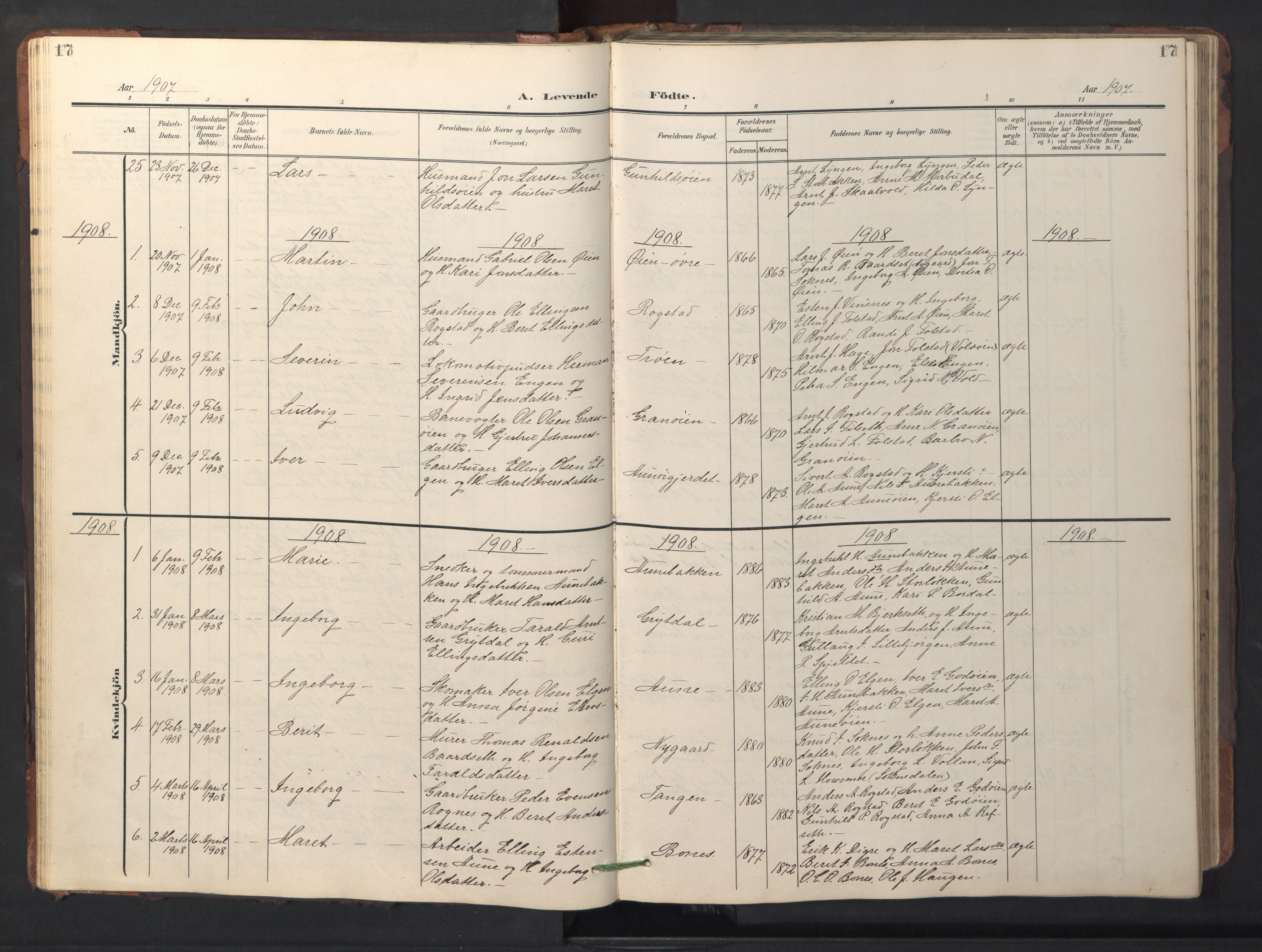 Ministerialprotokoller, klokkerbøker og fødselsregistre - Sør-Trøndelag, SAT/A-1456/687/L1019: Parish register (copy) no. 687C03, 1904-1931, p. 17