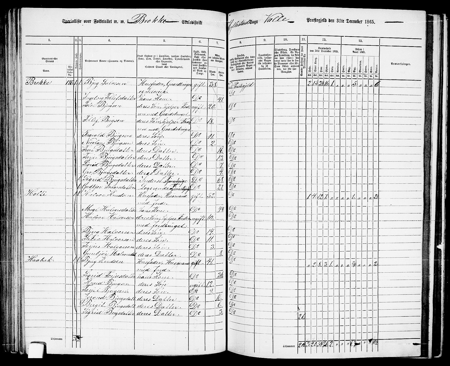 RA, 1865 census for Valle, 1865, p. 104