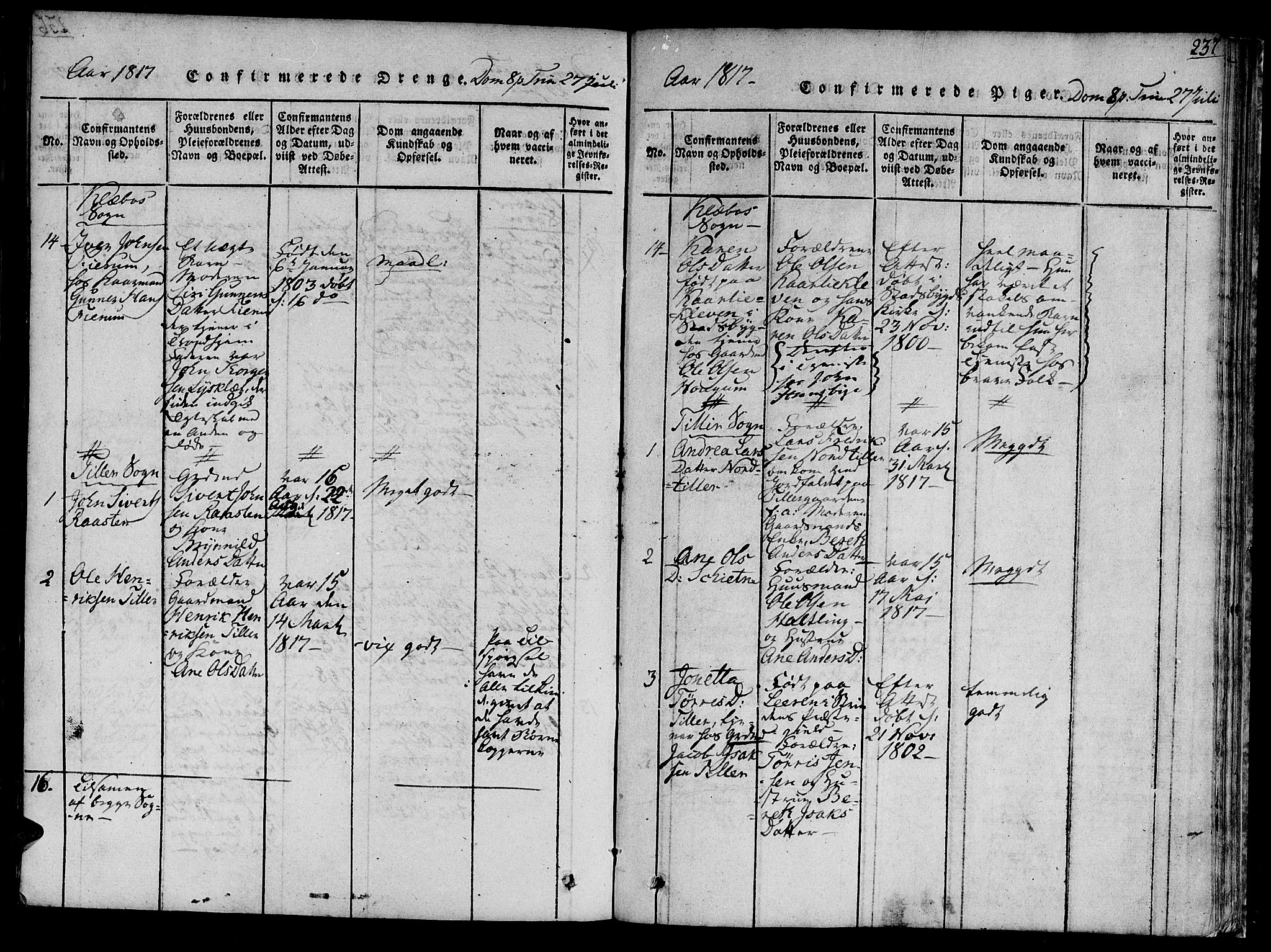 Ministerialprotokoller, klokkerbøker og fødselsregistre - Sør-Trøndelag, AV/SAT-A-1456/618/L0439: Parish register (official) no. 618A04 /1, 1816-1843, p. 237