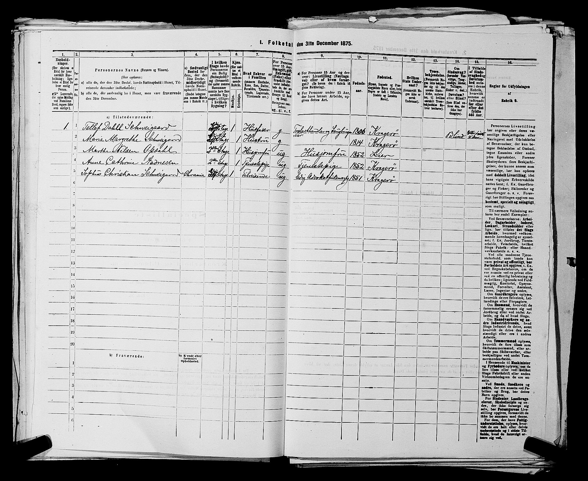 SAKO, 1875 census for 0801P Kragerø, 1875, p. 109