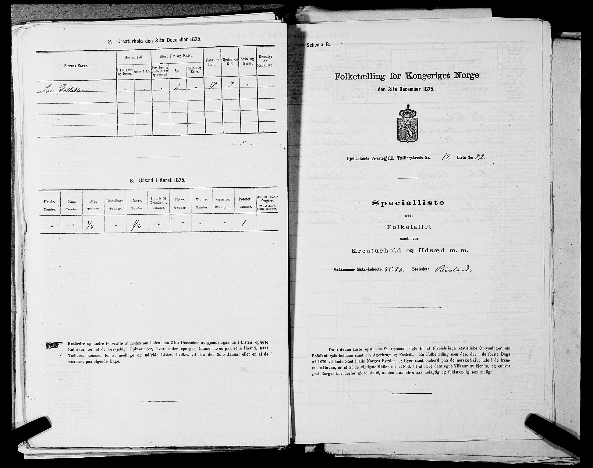 SAST, 1875 census for 1133P Hjelmeland, 1875, p. 1525