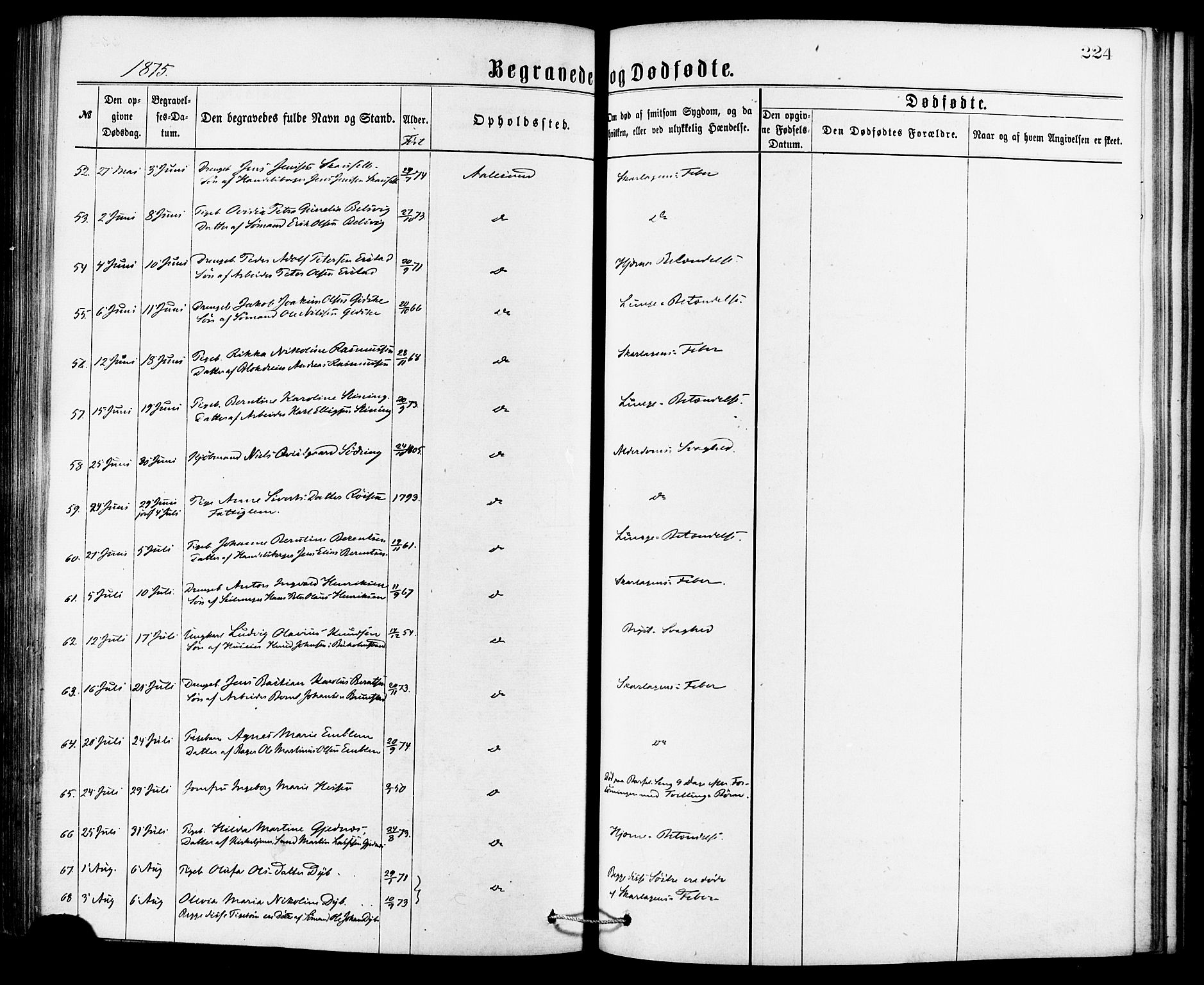 Ministerialprotokoller, klokkerbøker og fødselsregistre - Møre og Romsdal, AV/SAT-A-1454/529/L0453: Parish register (official) no. 529A03, 1872-1877, p. 224