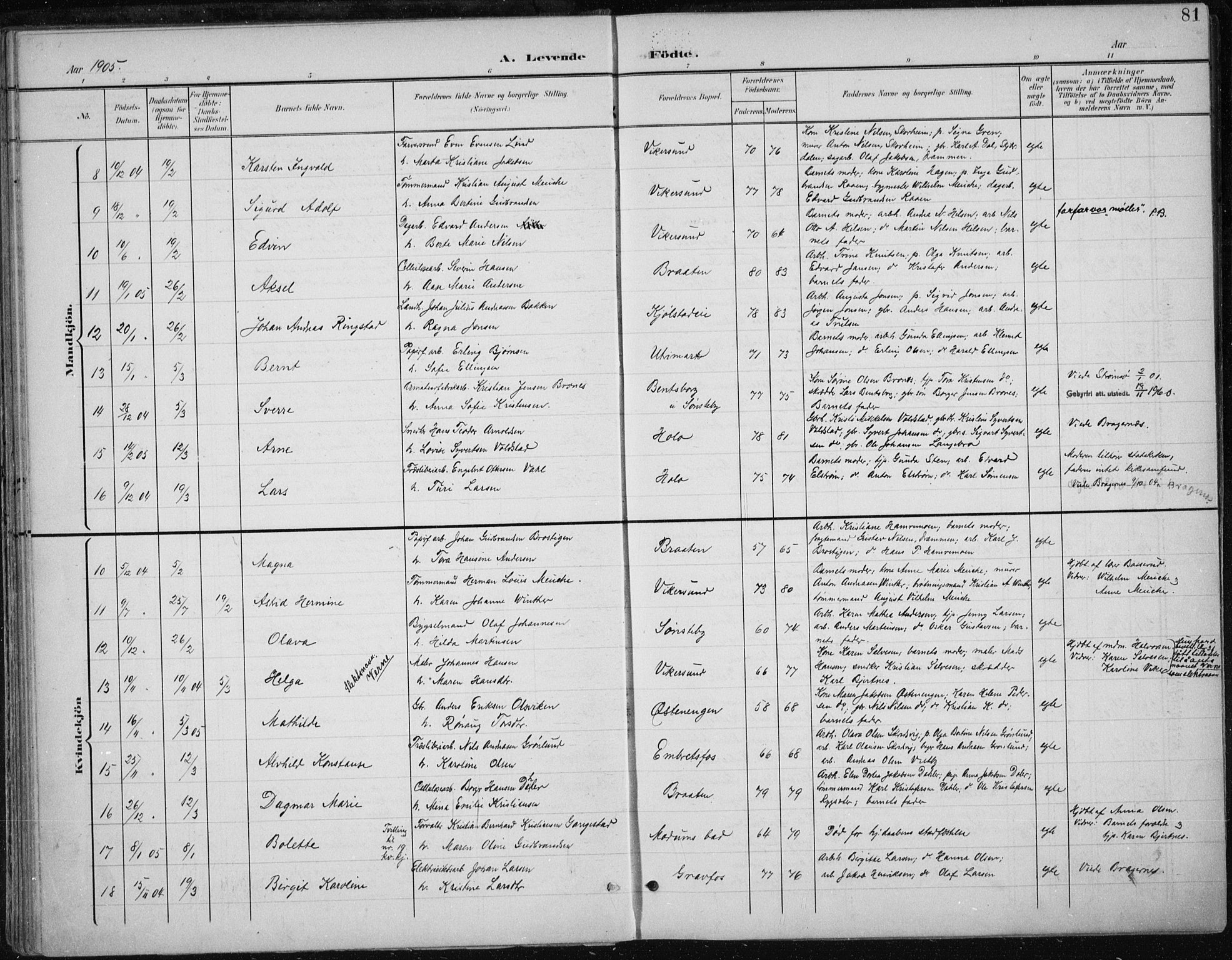 Modum kirkebøker, AV/SAKO-A-234/F/Fa/L0013: Parish register (official) no. 13, 1899-1907, p. 81