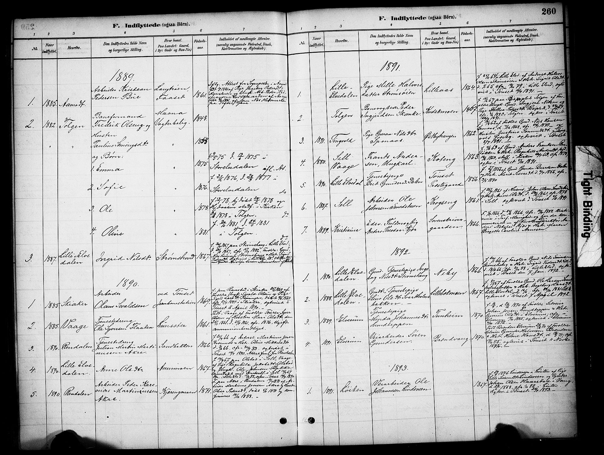 Tynset prestekontor, SAH/PREST-058/H/Ha/Hab/L0006: Parish register (copy) no. 6, 1880-1899, p. 260
