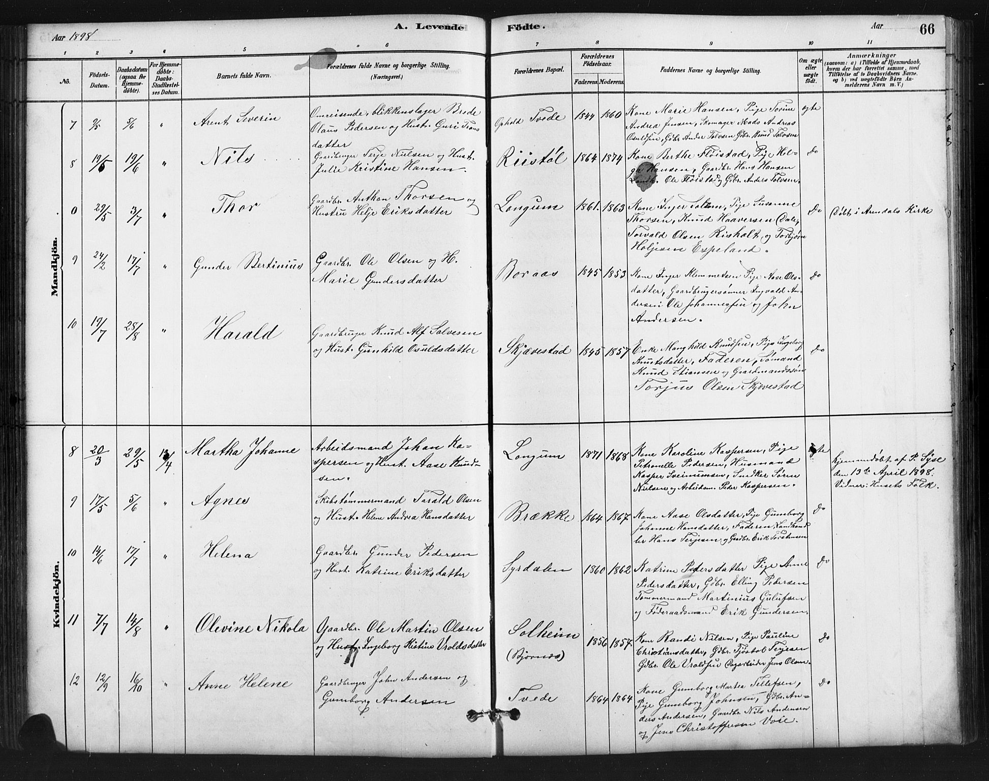 Austre Moland sokneprestkontor, SAK/1111-0001/F/Fb/Fba/L0003: Parish register (copy) no. B 3, 1879-1914, p. 66