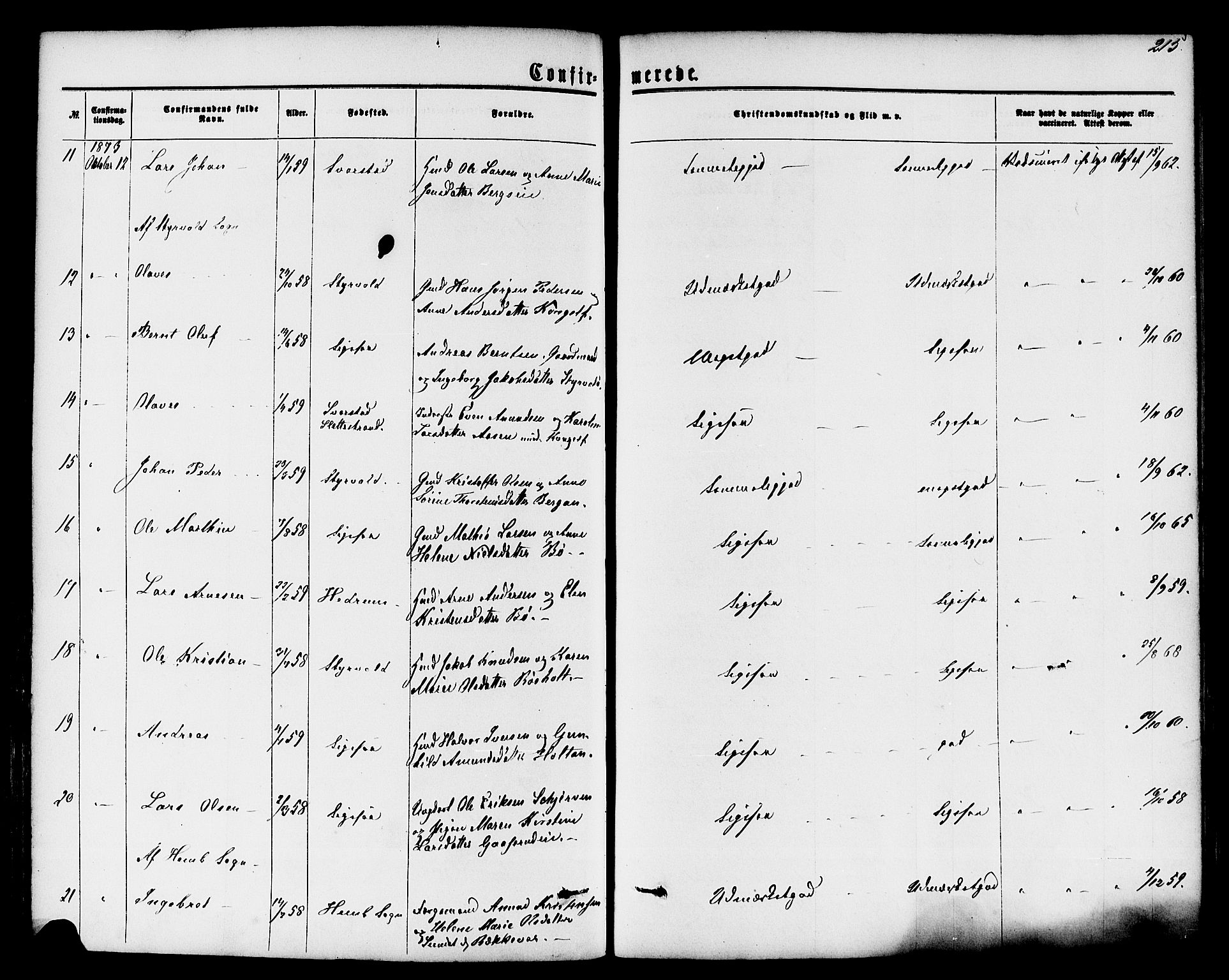 Lardal kirkebøker, SAKO/A-350/F/Fa/L0007: Parish register (official) no. I 7, 1861-1880, p. 215