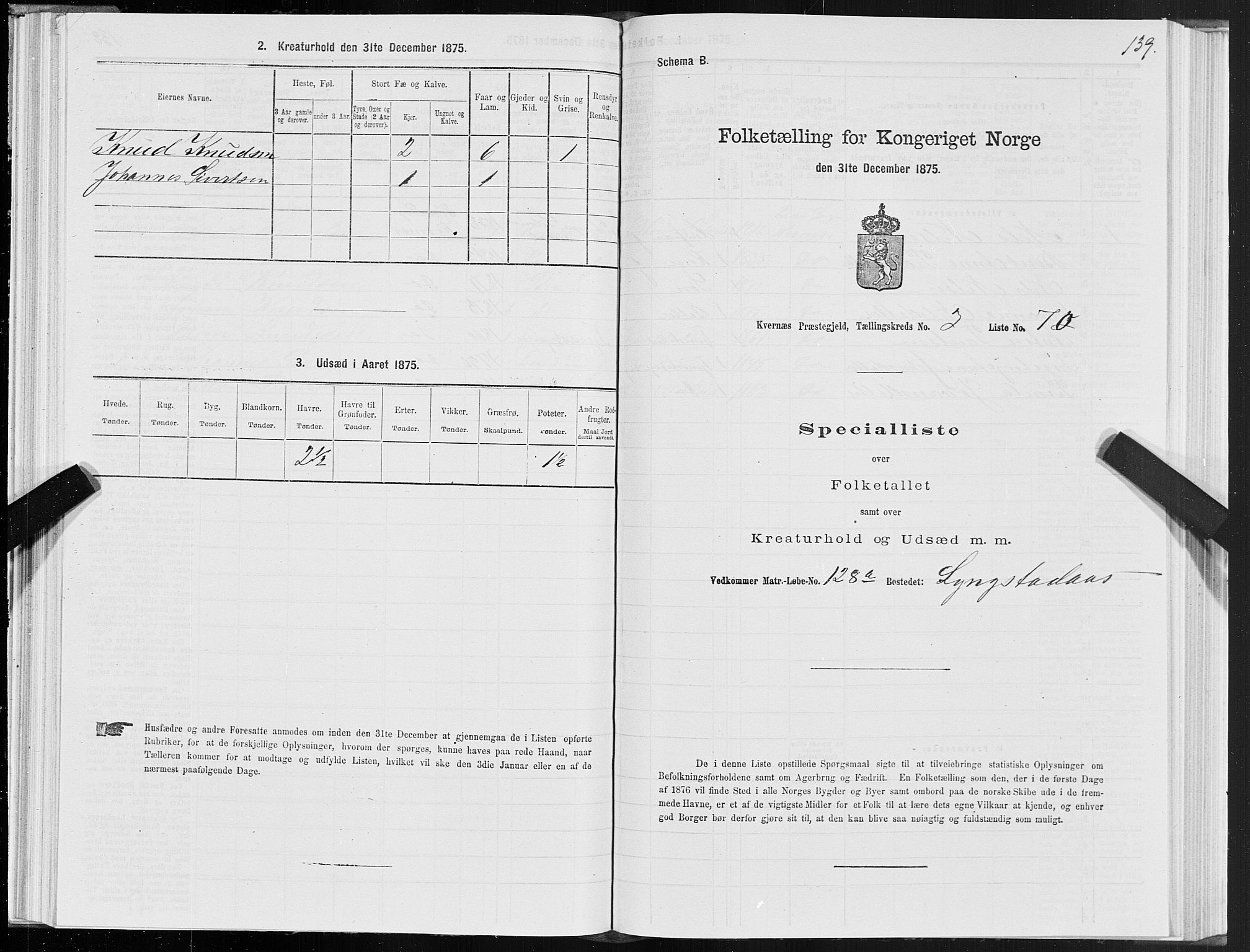 SAT, 1875 census for 1553P Kvernes, 1875, p. 2139