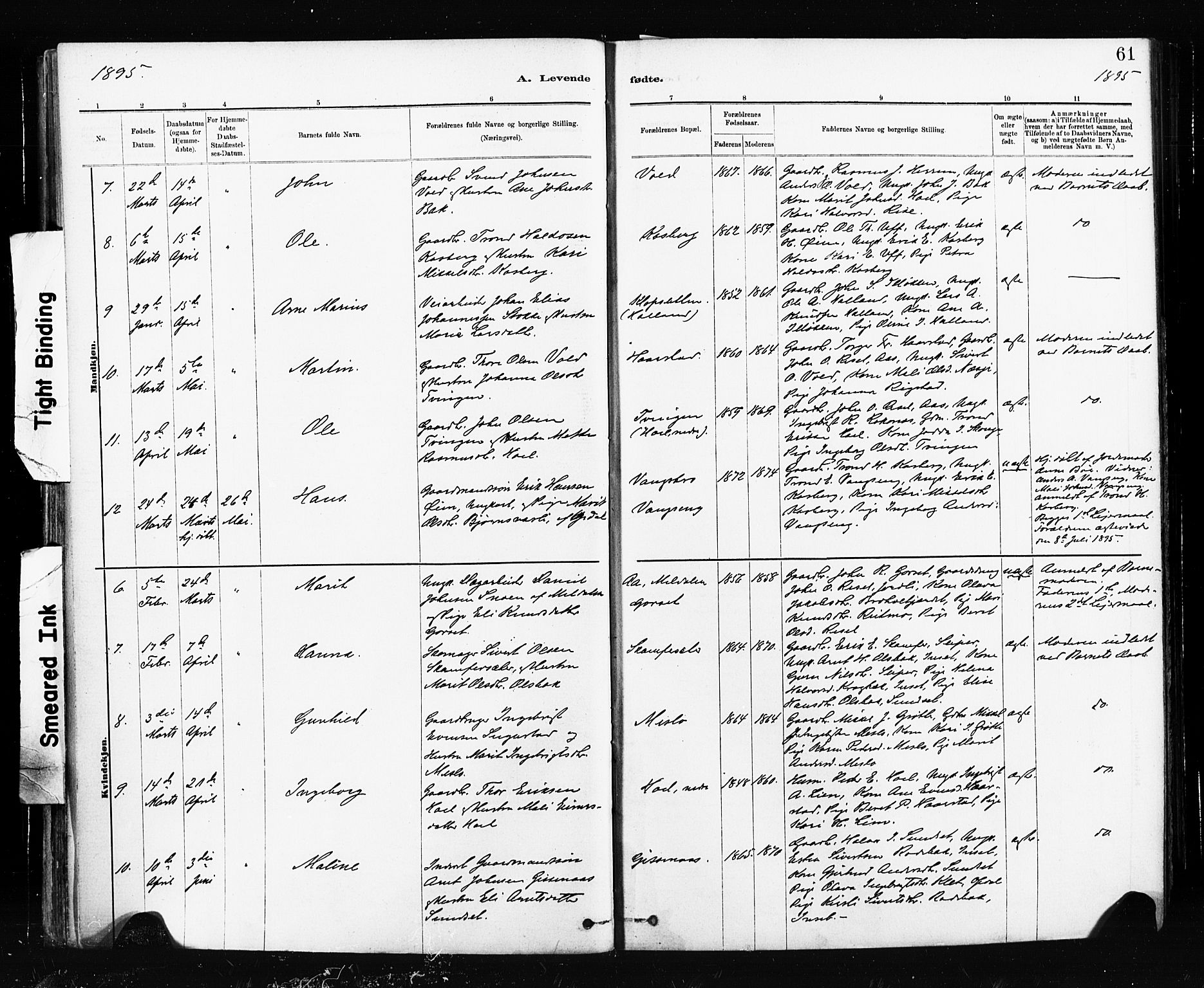 Ministerialprotokoller, klokkerbøker og fødselsregistre - Sør-Trøndelag, SAT/A-1456/674/L0871: Parish register (official) no. 674A03, 1880-1896, p. 61