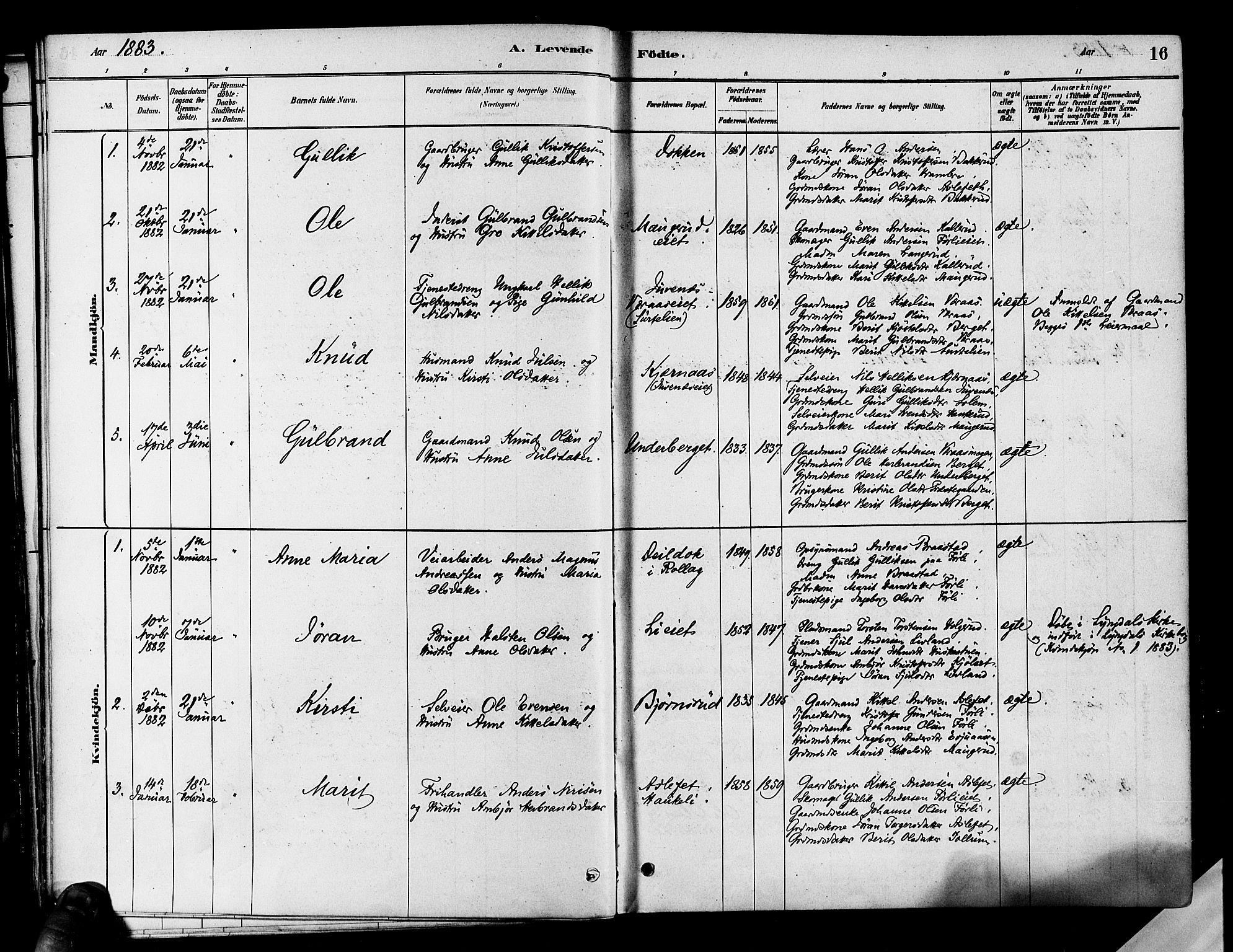 Flesberg kirkebøker, SAKO/A-18/F/Fa/L0008: Parish register (official) no. I 8, 1879-1899, p. 16