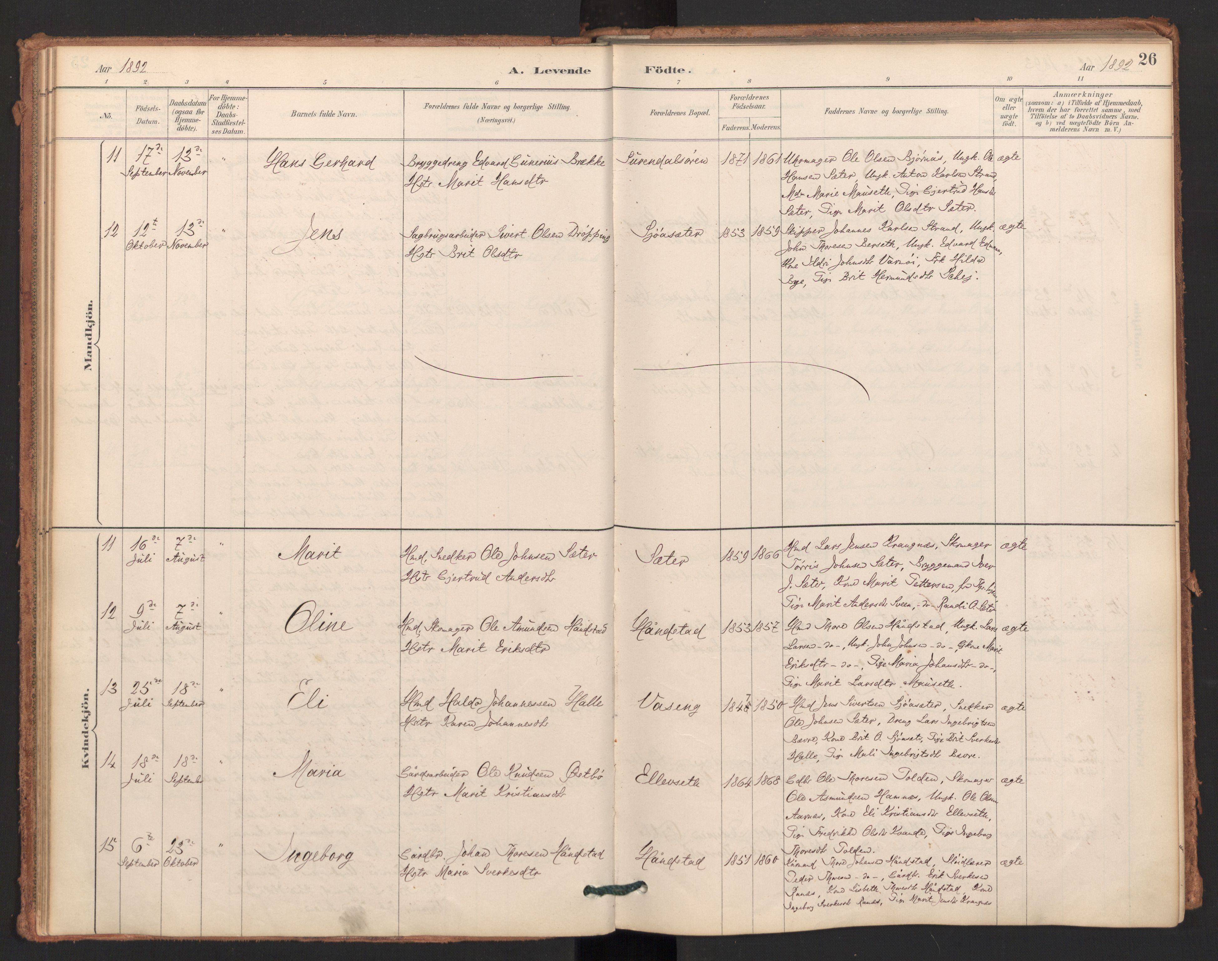 Ministerialprotokoller, klokkerbøker og fødselsregistre - Møre og Romsdal, AV/SAT-A-1454/596/L1056: Parish register (official) no. 596A01, 1885-1900, p. 26