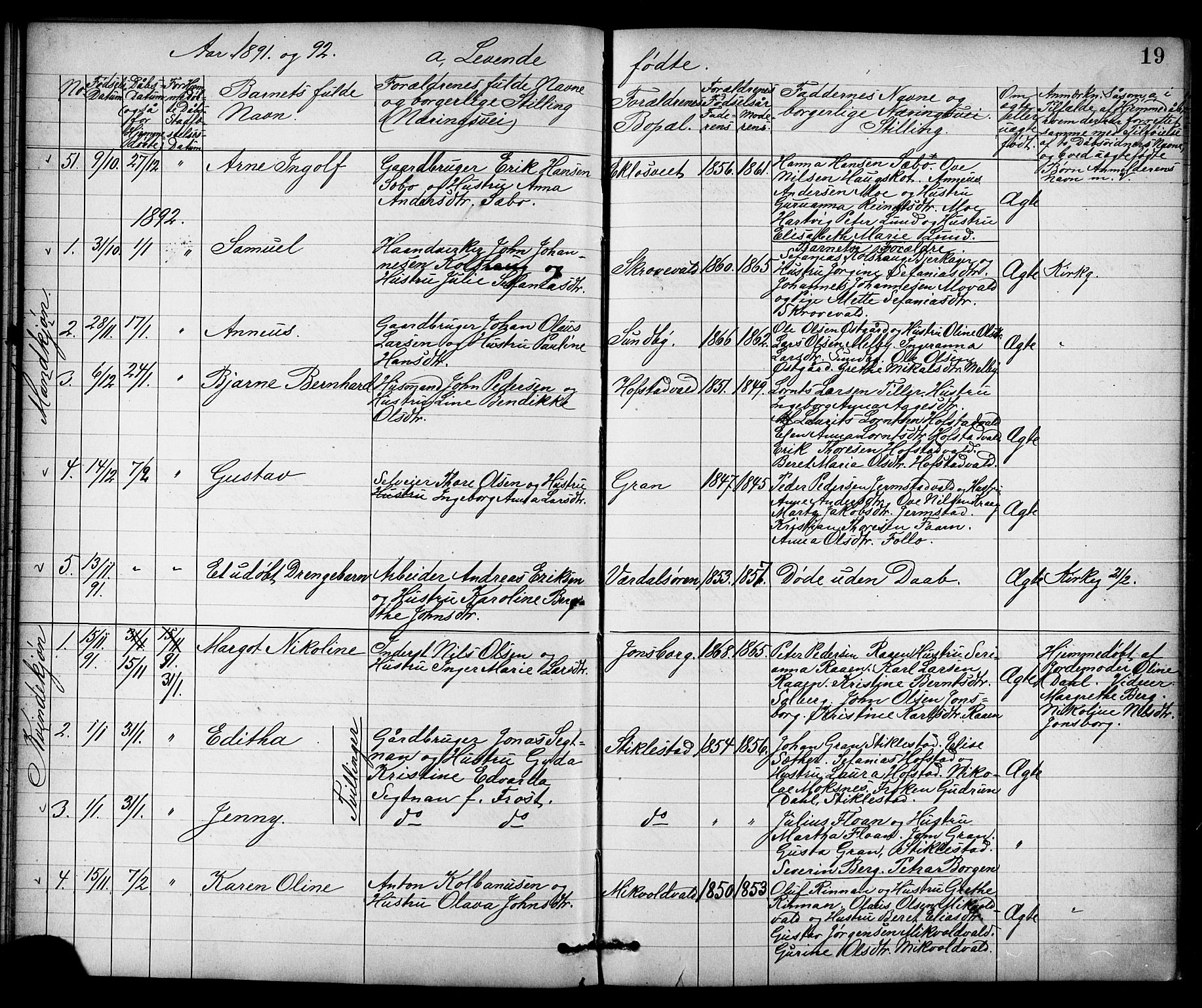 Ministerialprotokoller, klokkerbøker og fødselsregistre - Nord-Trøndelag, AV/SAT-A-1458/723/L0257: Parish register (copy) no. 723C05, 1890-1907, p. 19