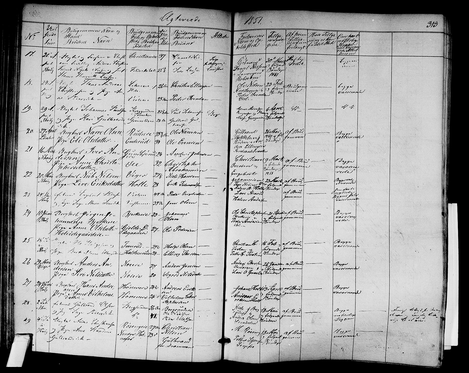 Norderhov kirkebøker, AV/SAKO-A-237/F/Fa/L0011: Parish register (official) no. 11, 1847-1856, p. 313