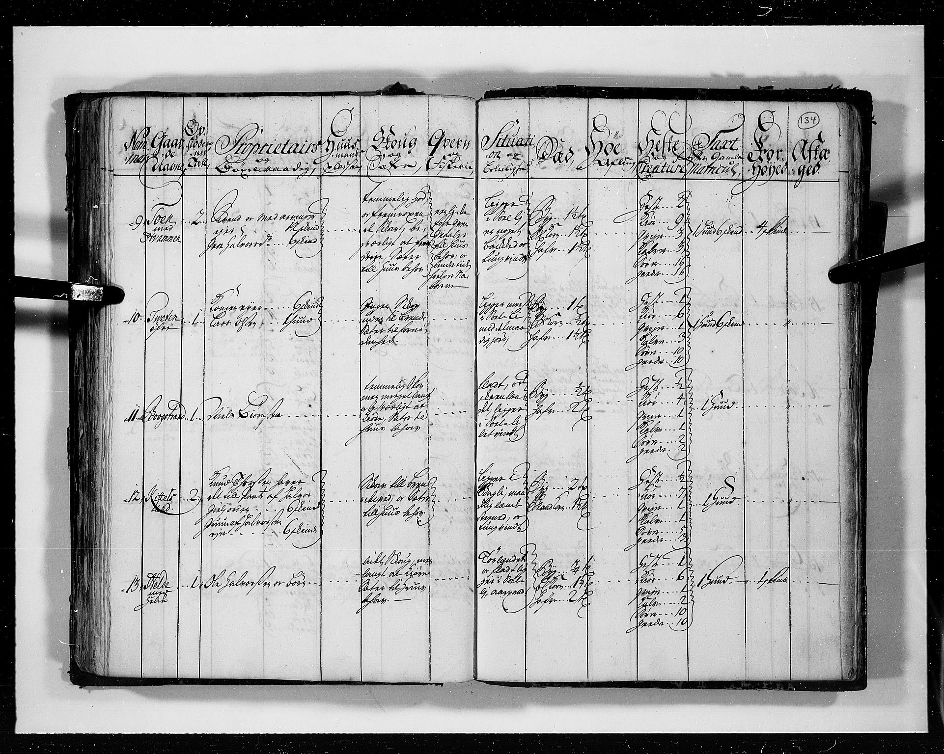 Rentekammeret inntil 1814, Realistisk ordnet avdeling, RA/EA-4070/N/Nb/Nbf/L0113: Numedal og Sandsvær eksaminasjonsprotokoll, 1723, p. 133b-134a