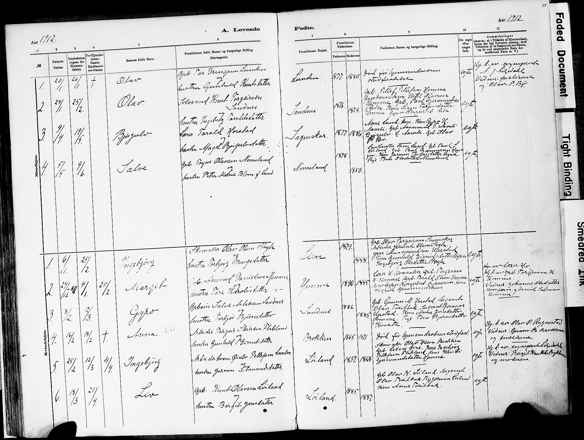 Valle sokneprestkontor, AV/SAK-1111-0044/F/Fa/Fac/L0009: Parish register (official) no. A 9, 1882-1913, p. 88