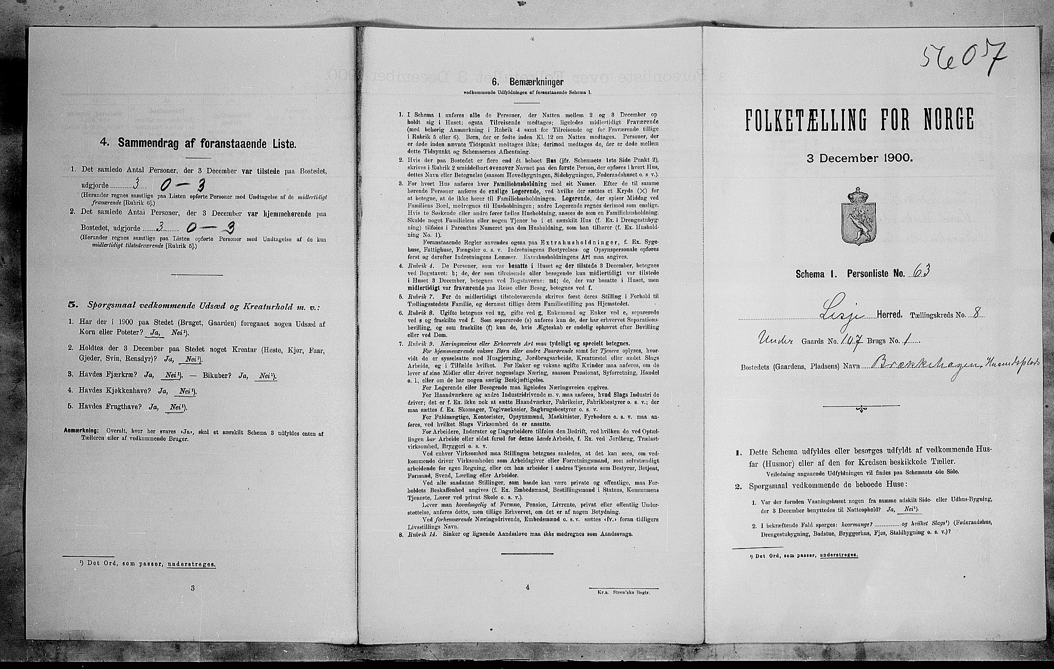 SAH, 1900 census for Lesja, 1900, p. 733