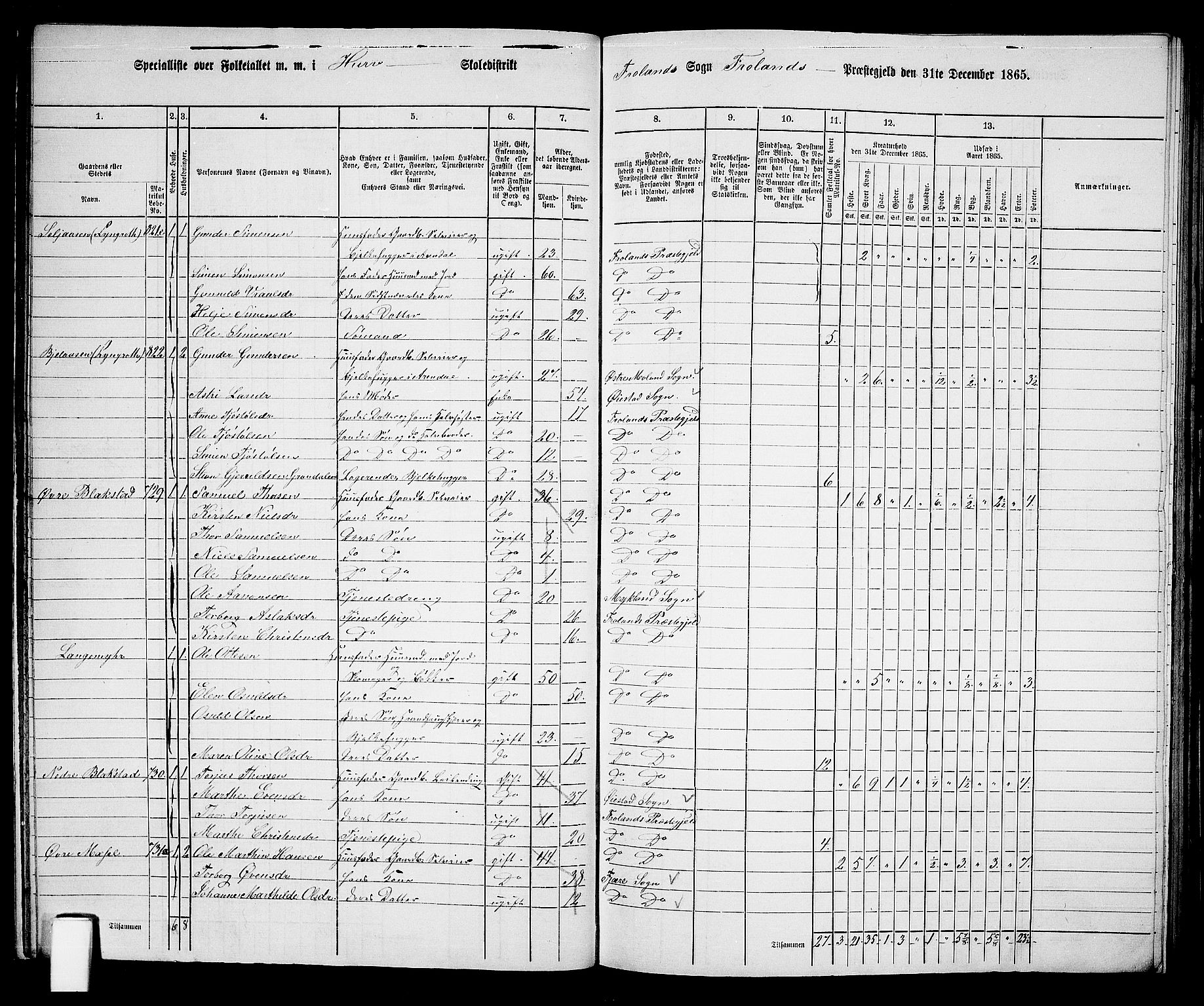 RA, 1865 census for Froland, 1865, p. 22