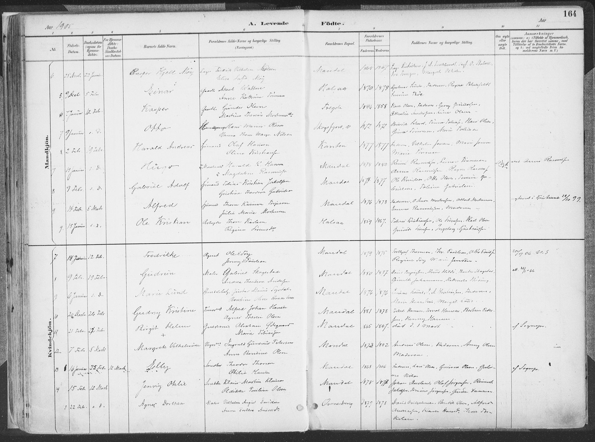 Mandal sokneprestkontor, SAK/1111-0030/F/Fa/Faa/L0018: Parish register (official) no. A 18, 1890-1905, p. 164