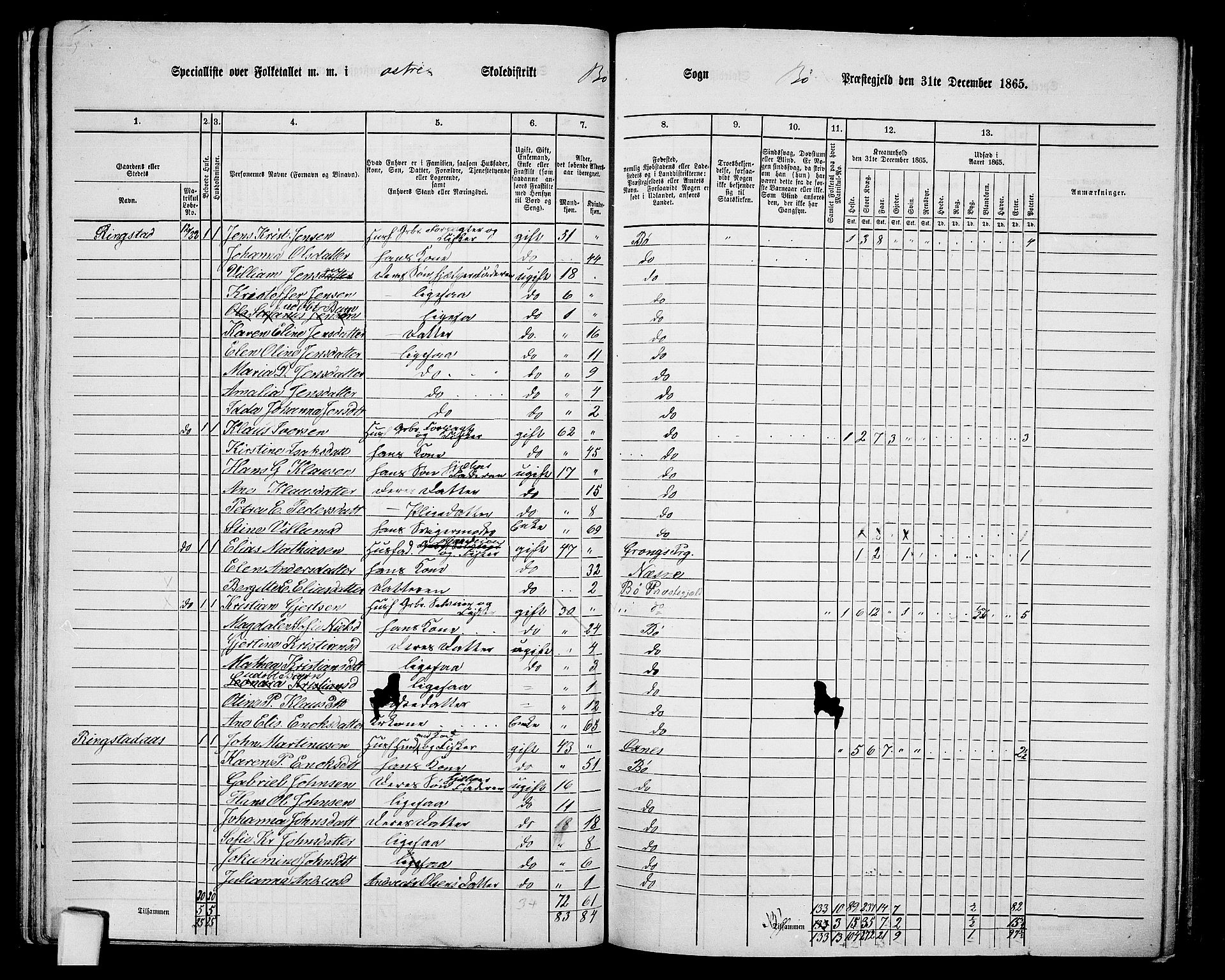 RA, 1865 census for Bø, 1865, p. 36