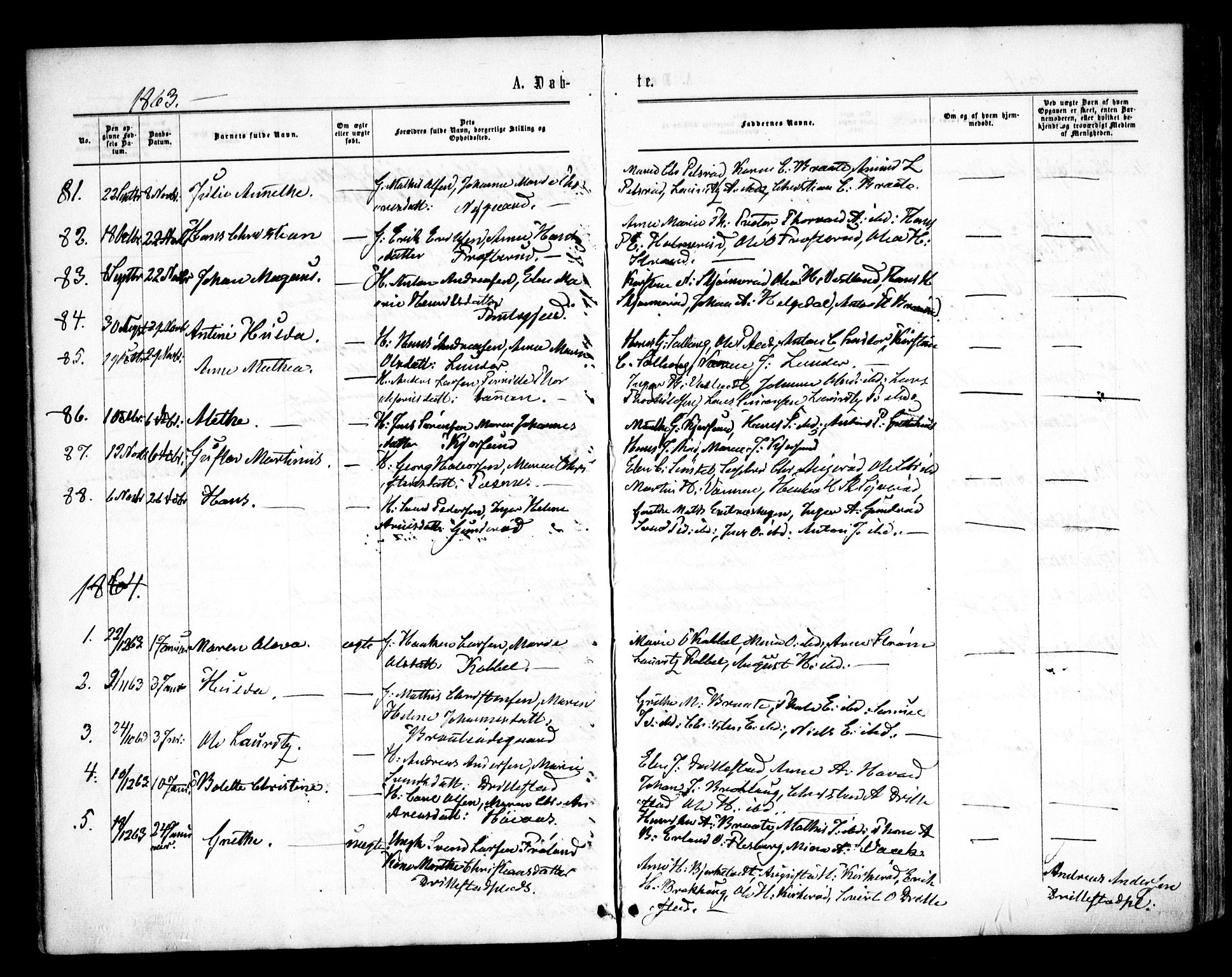 Våler prestekontor Kirkebøker, SAO/A-11083/F/Fa/L0008: Parish register (official) no. I 8, 1862-1876
