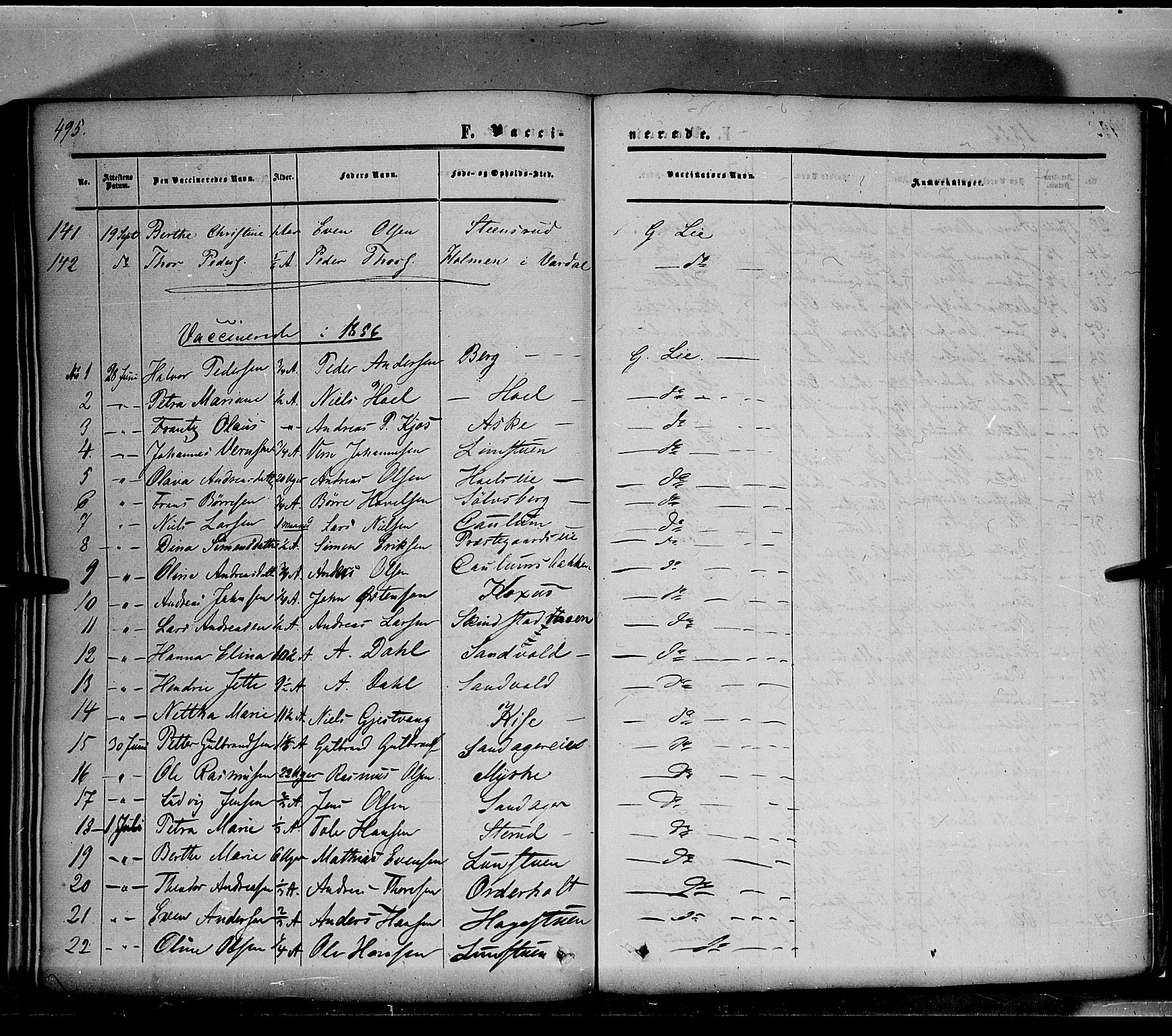 Nes prestekontor, Hedmark, SAH/PREST-020/K/Ka/L0004: Parish register (official) no. 4, 1852-1886, p. 495