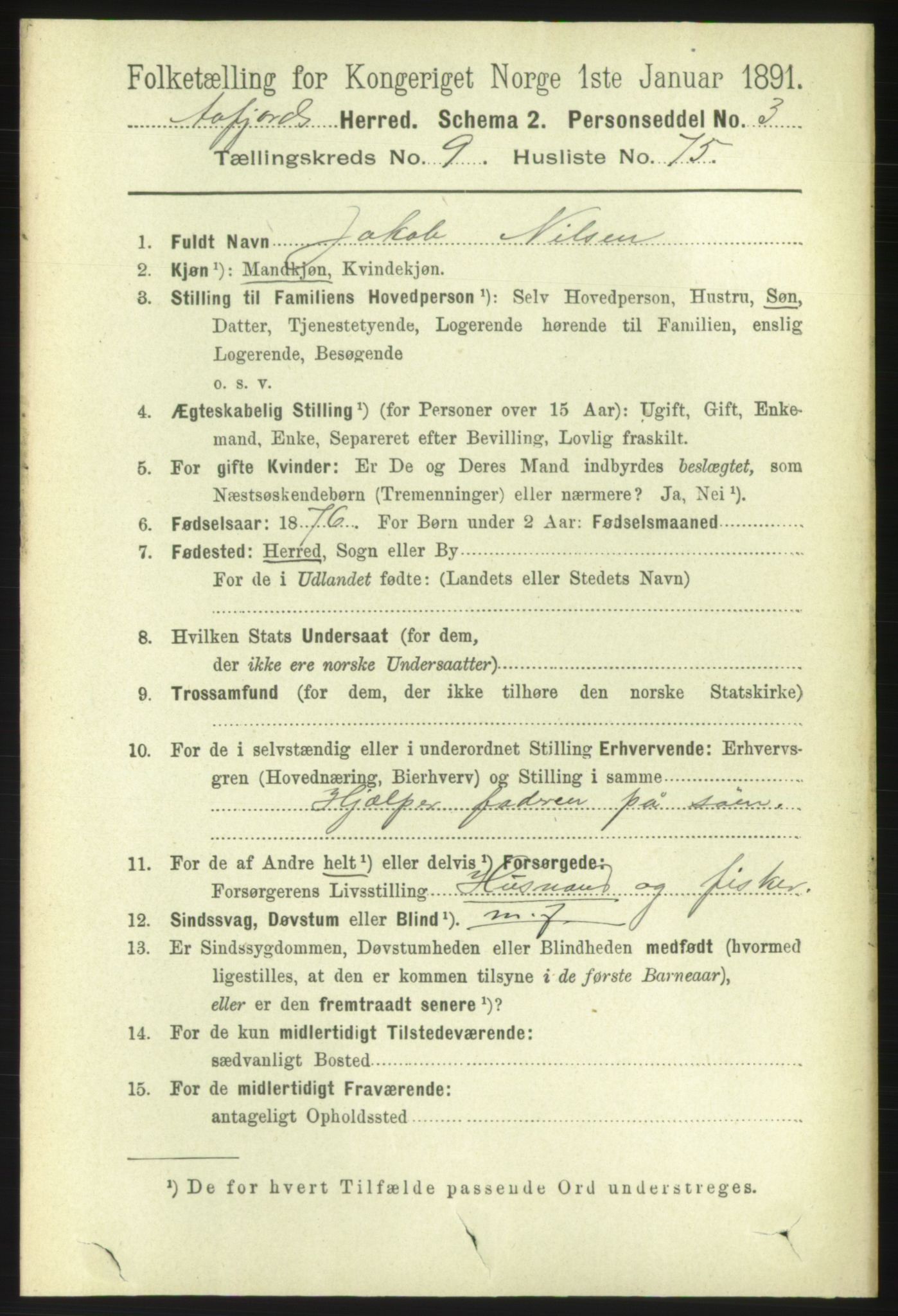 RA, 1891 census for 1630 Åfjord, 1891, p. 2910