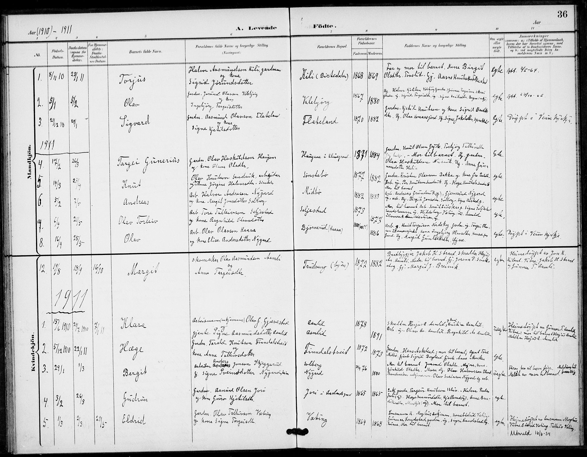 Fyresdal kirkebøker, SAKO/A-263/F/Fa/L0008: Parish register (official) no. I 8, 1899-1914, p. 36