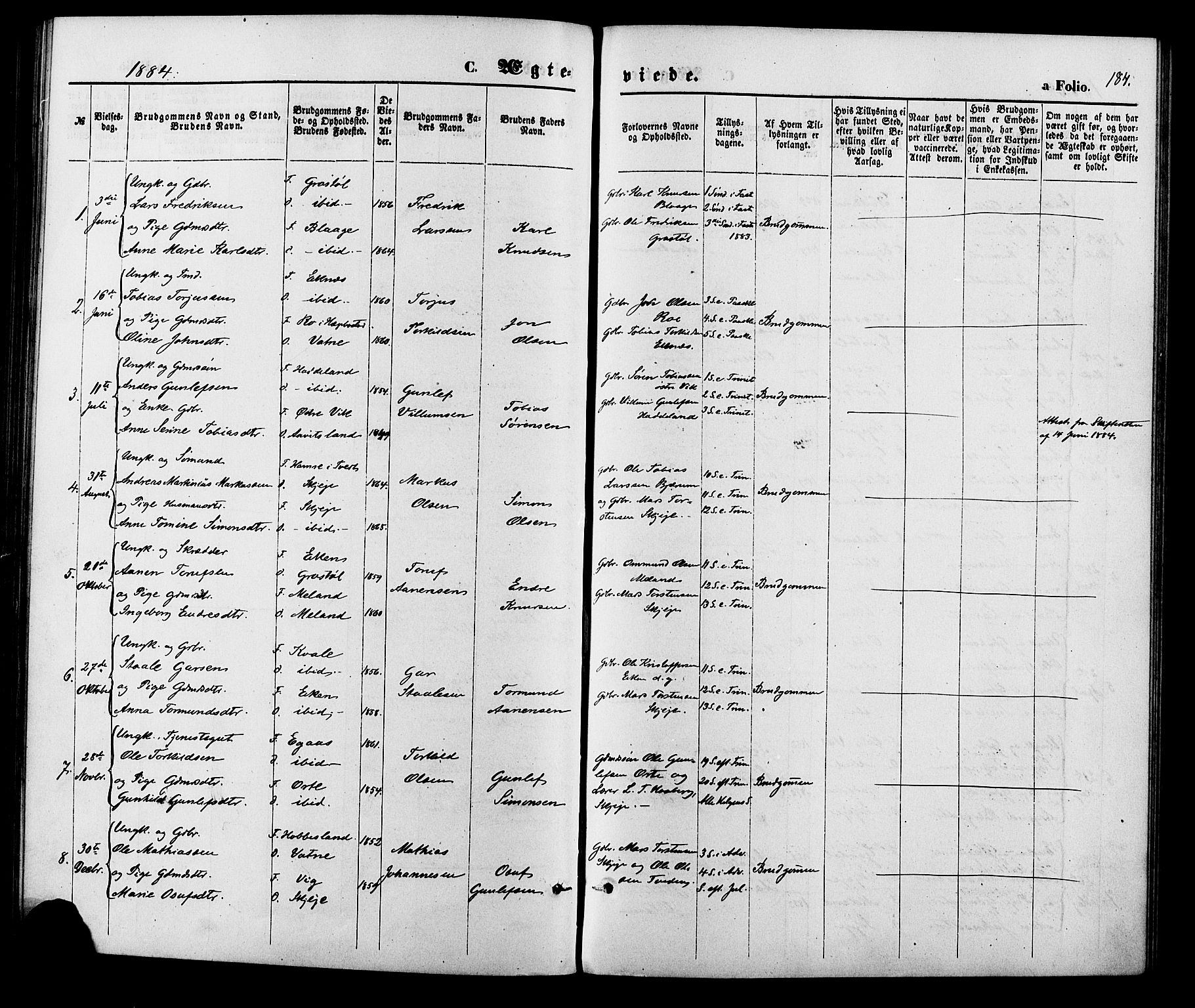 Hægebostad sokneprestkontor, AV/SAK-1111-0024/F/Fa/Fab/L0003: Parish register (official) no. A 3, 1872-1886, p. 184