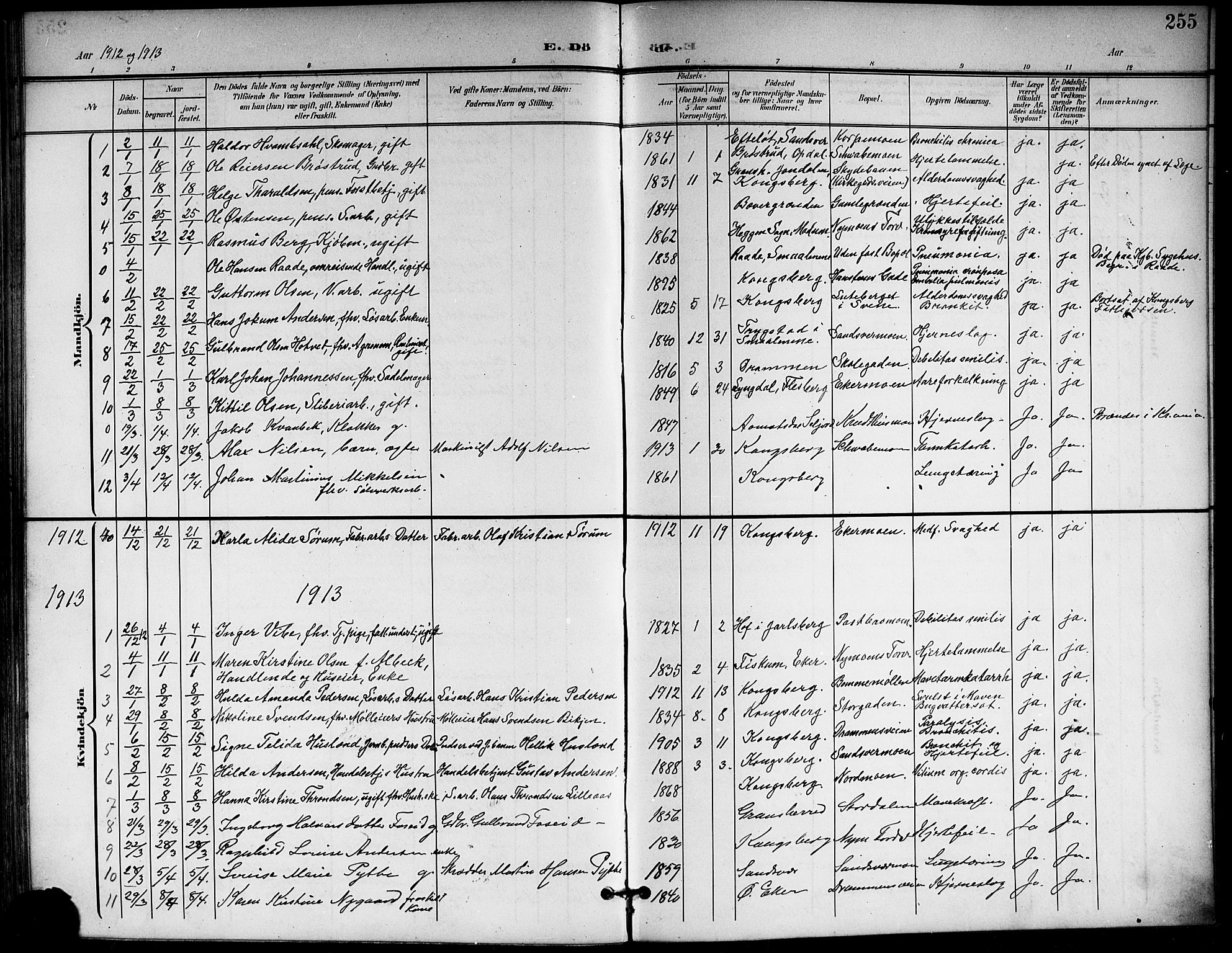 Kongsberg kirkebøker, AV/SAKO-A-22/G/Ga/L0007: Parish register (copy) no. 7, 1901-1915, p. 255