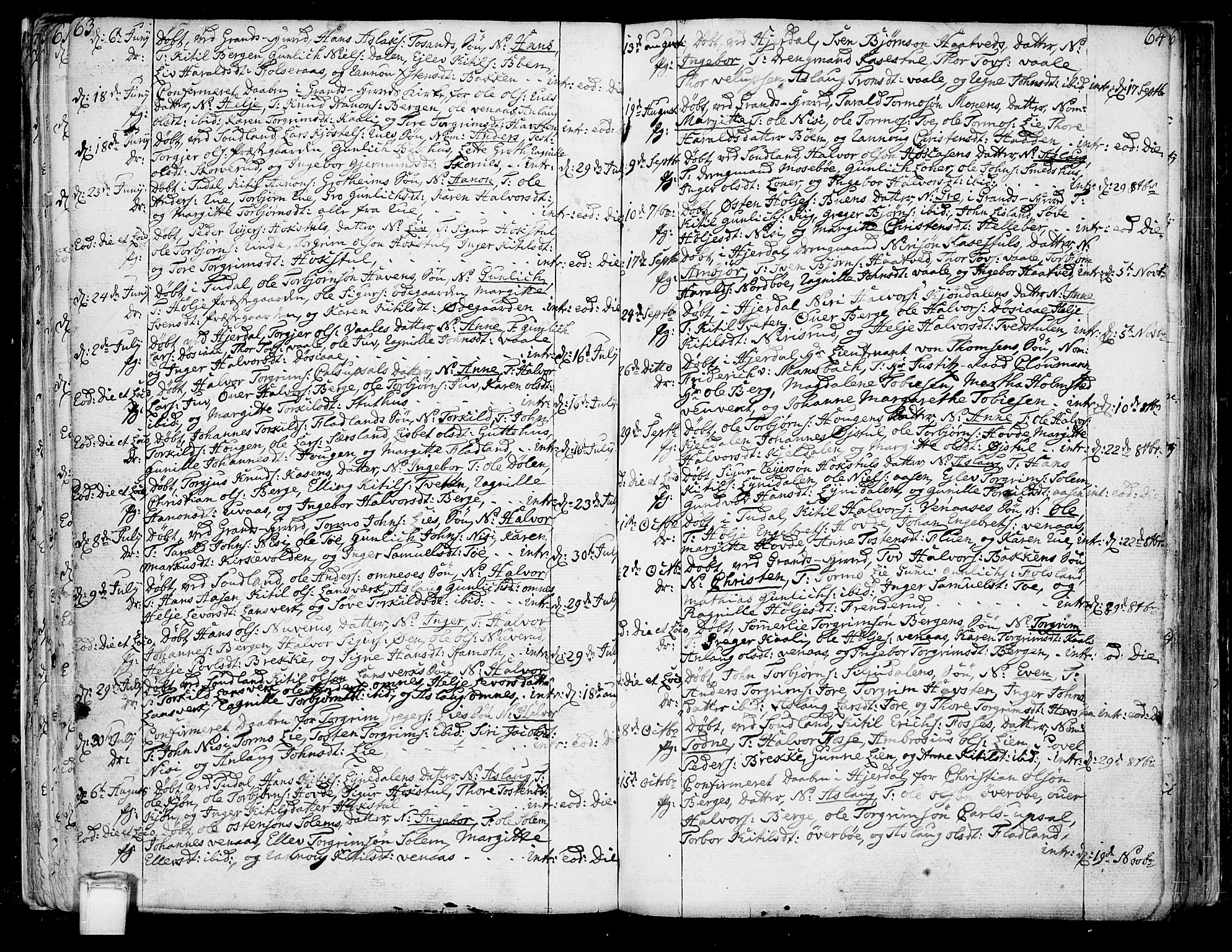 Hjartdal kirkebøker, SAKO/A-270/F/Fa/L0005: Parish register (official) no. I 5, 1776-1801, p. 63-64