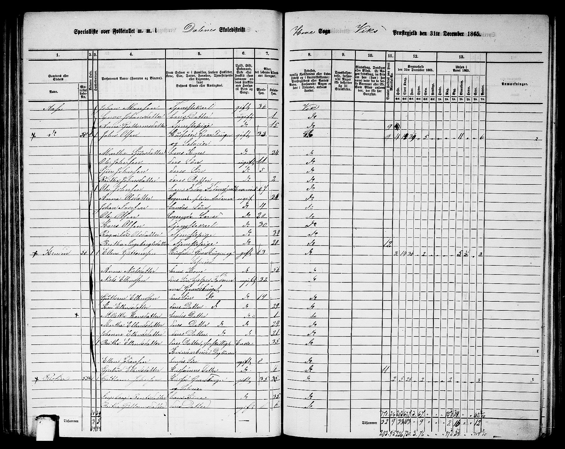 RA, 1865 census for Vik, 1865, p. 64